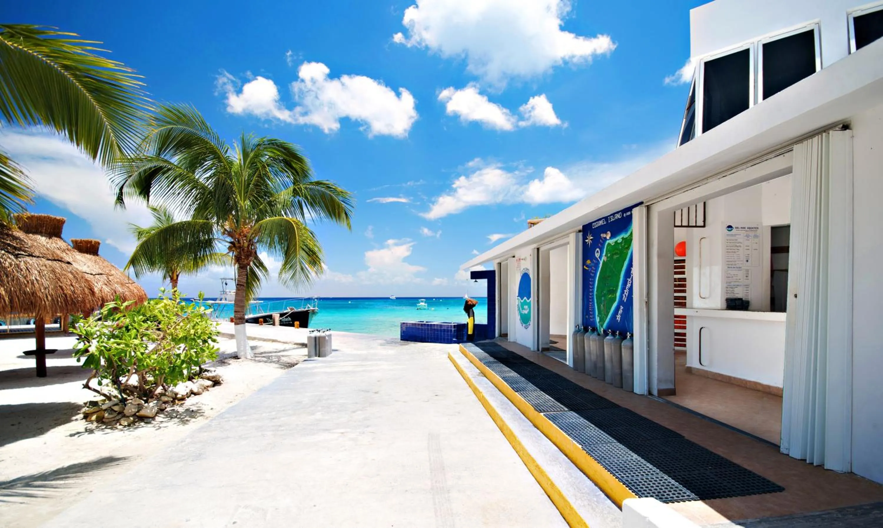 Diving in Casa del Mar Cozumel Hotel & Dive Resort with free access to an exclusive beach club