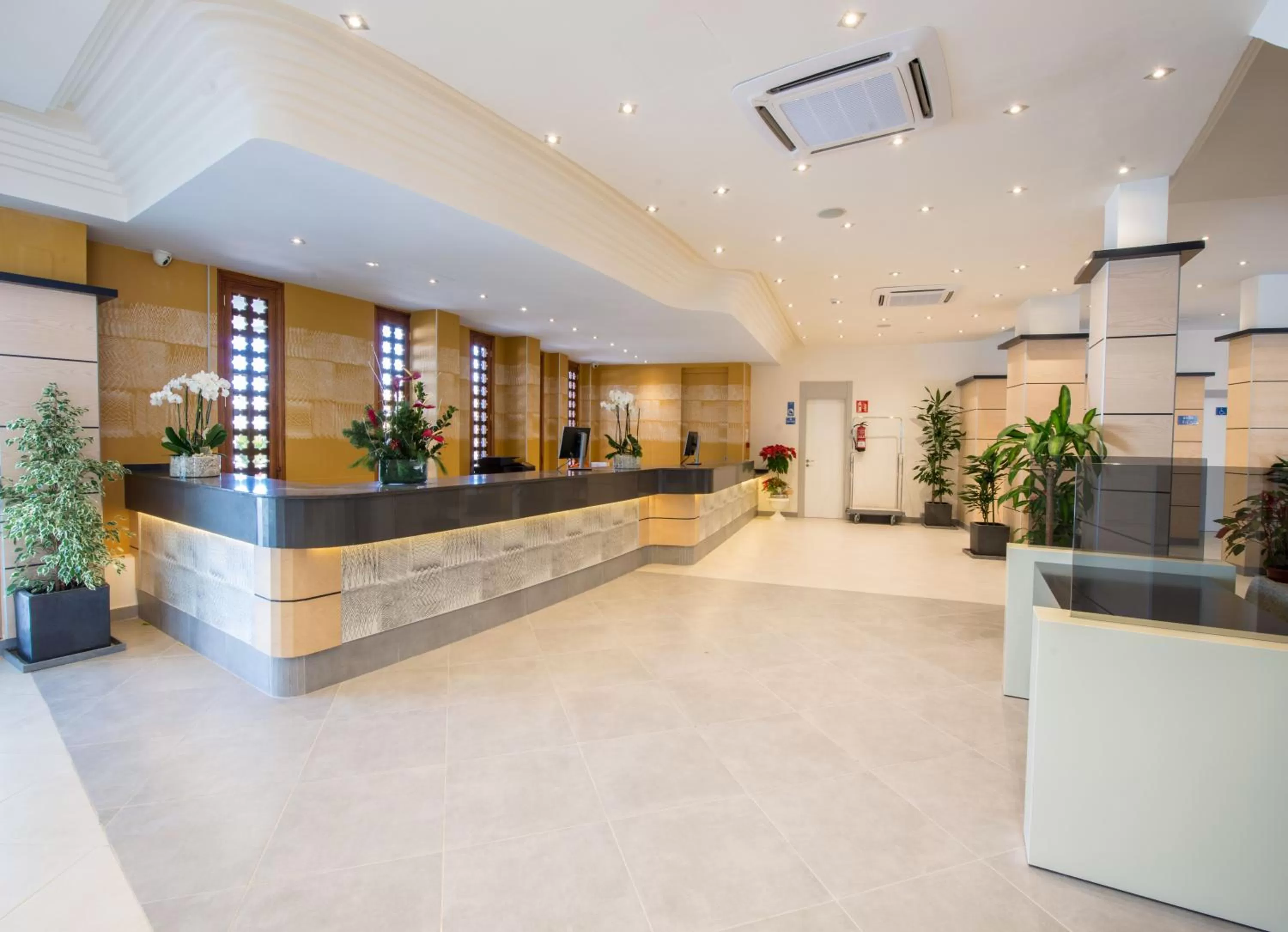 Lobby or reception in HL Suite Nardos - Only Adults