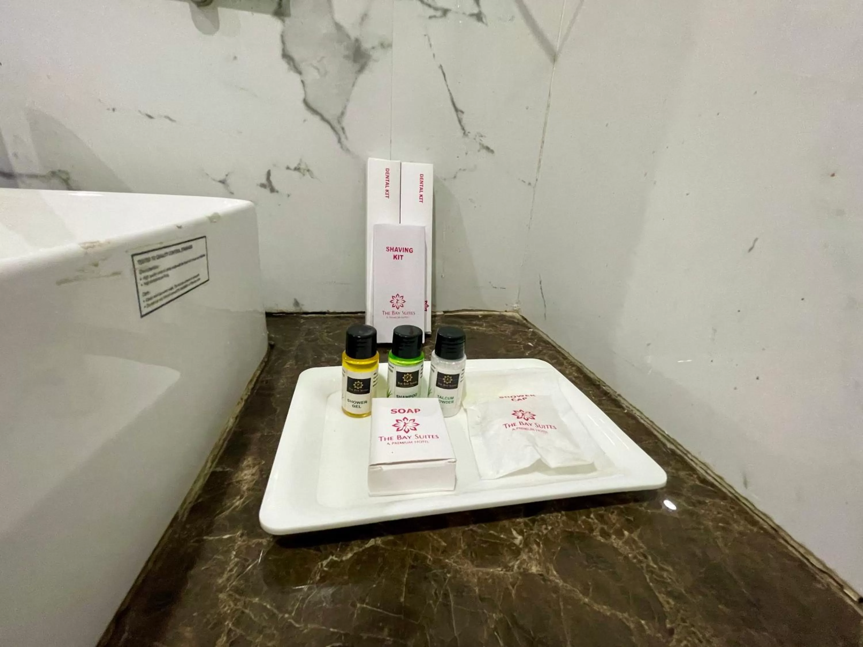 Hotel TBS sea view ! Puri