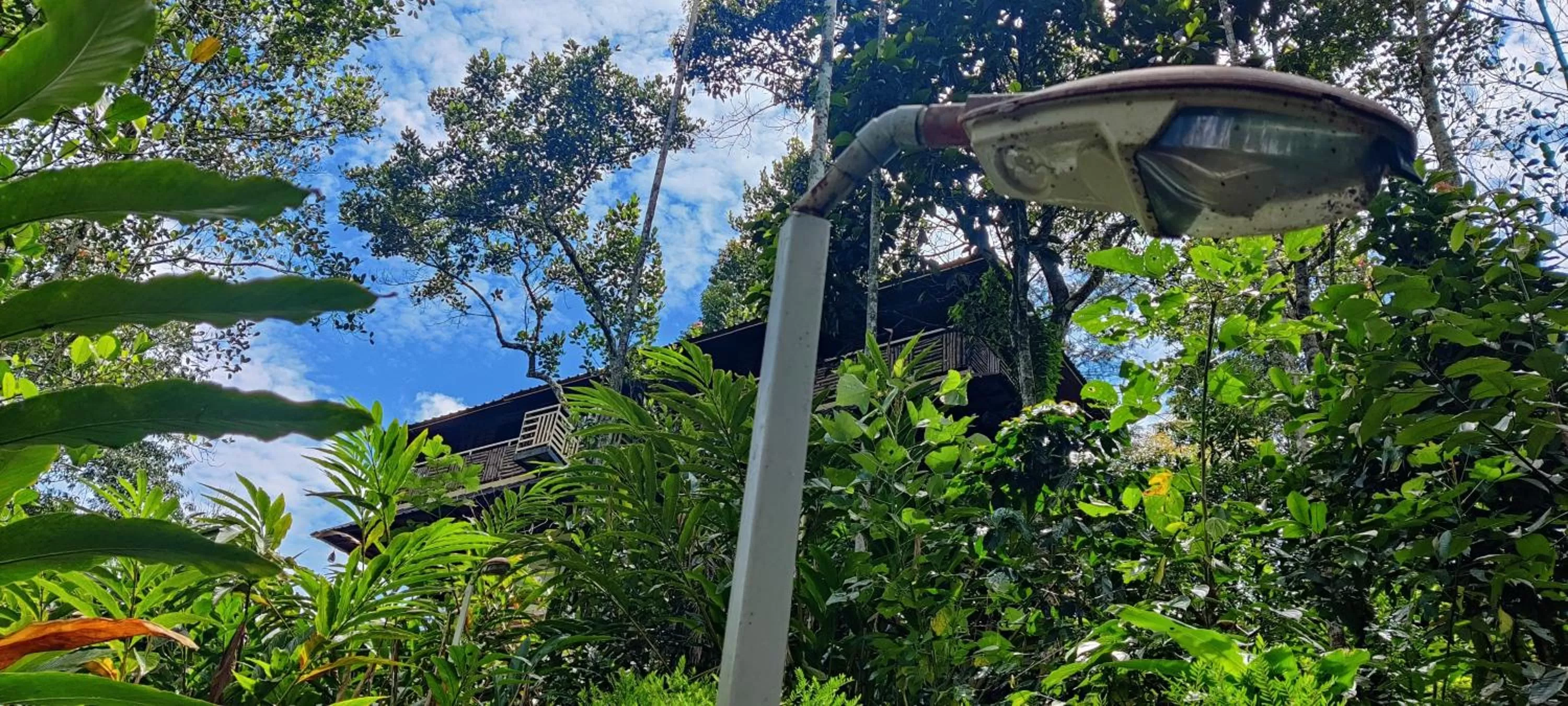 Natural landscape in Chalona Jungle Vibe