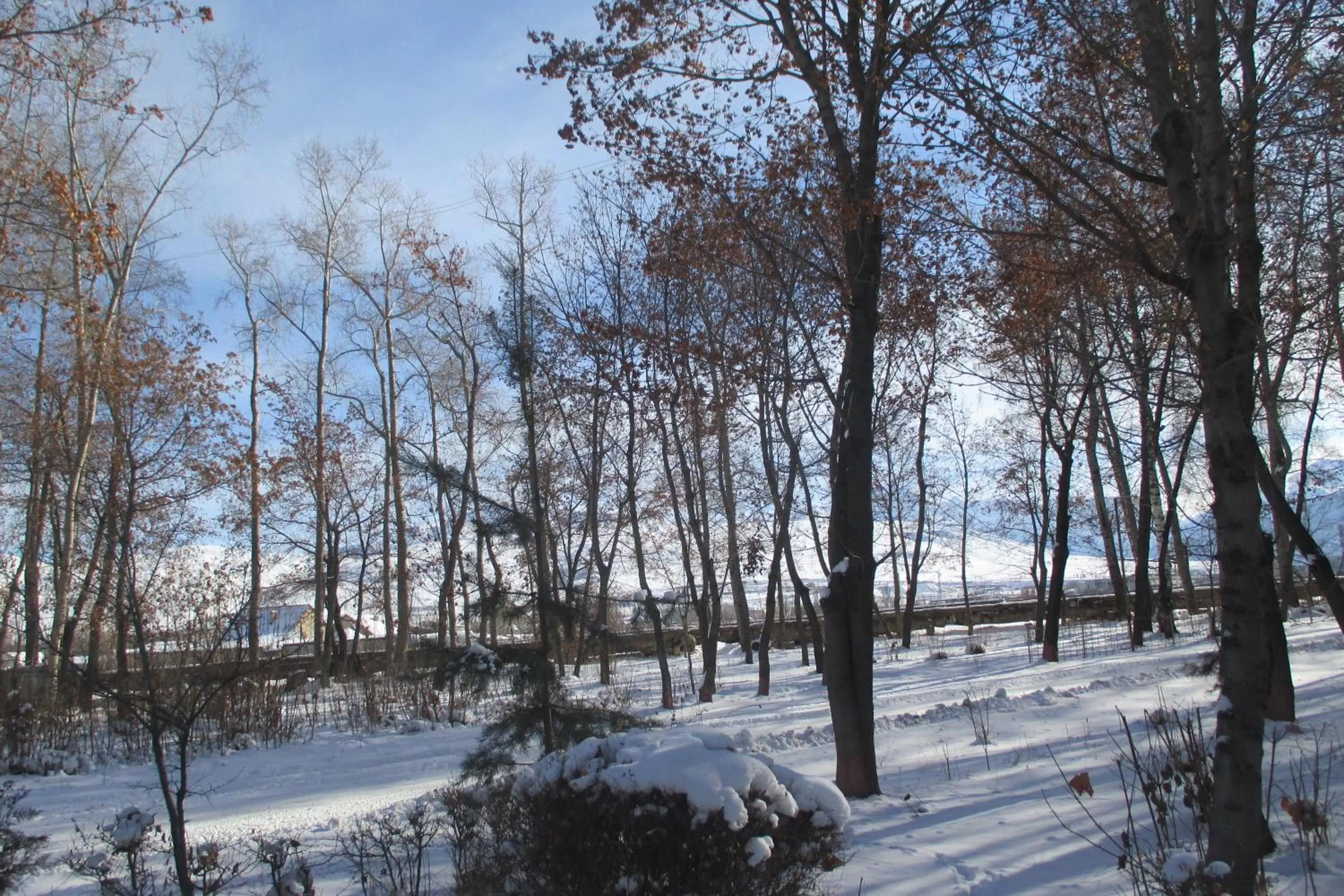 Natural landscape in Otel Issyk-Kul Karakol