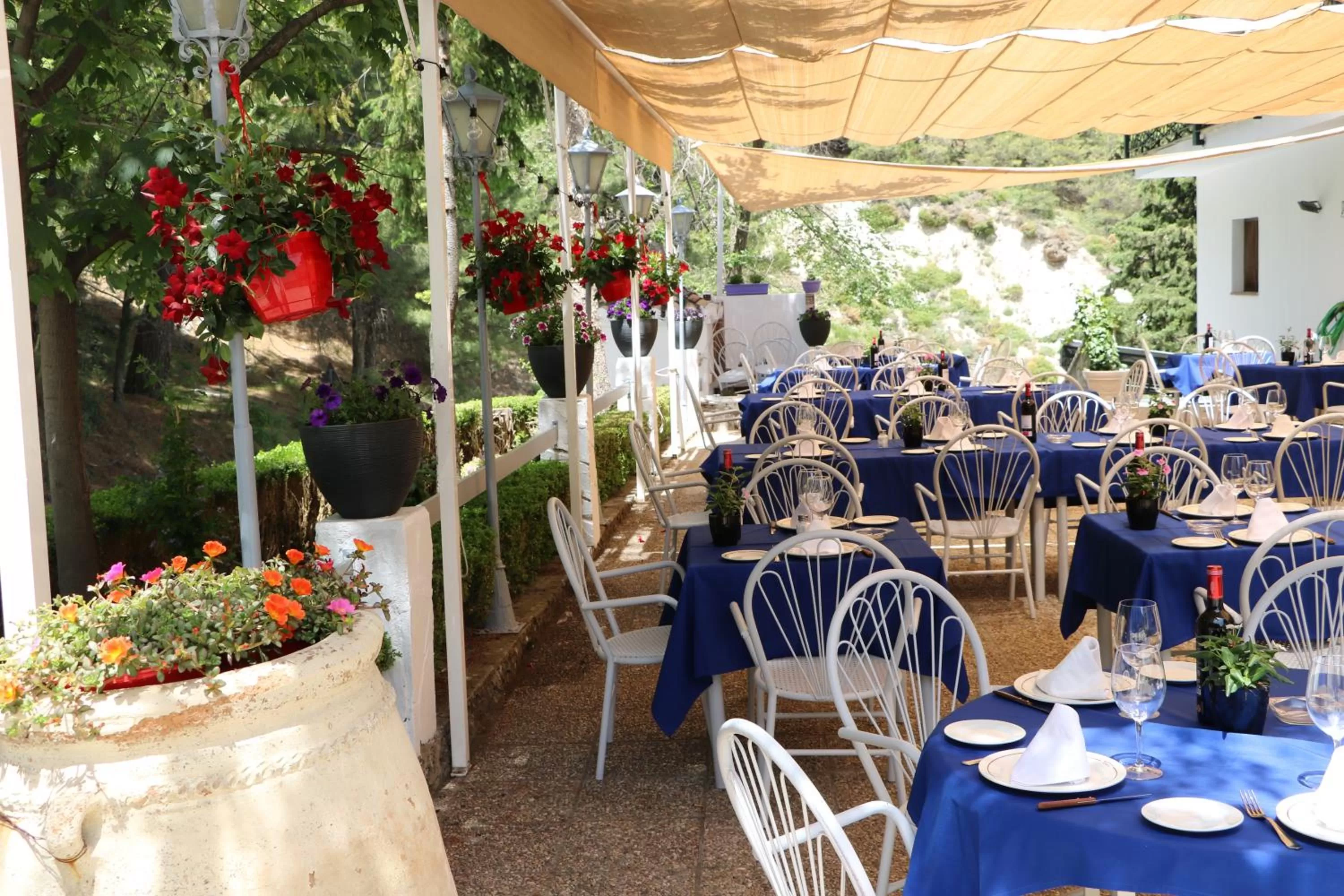 Patio in Hotel El Guerra