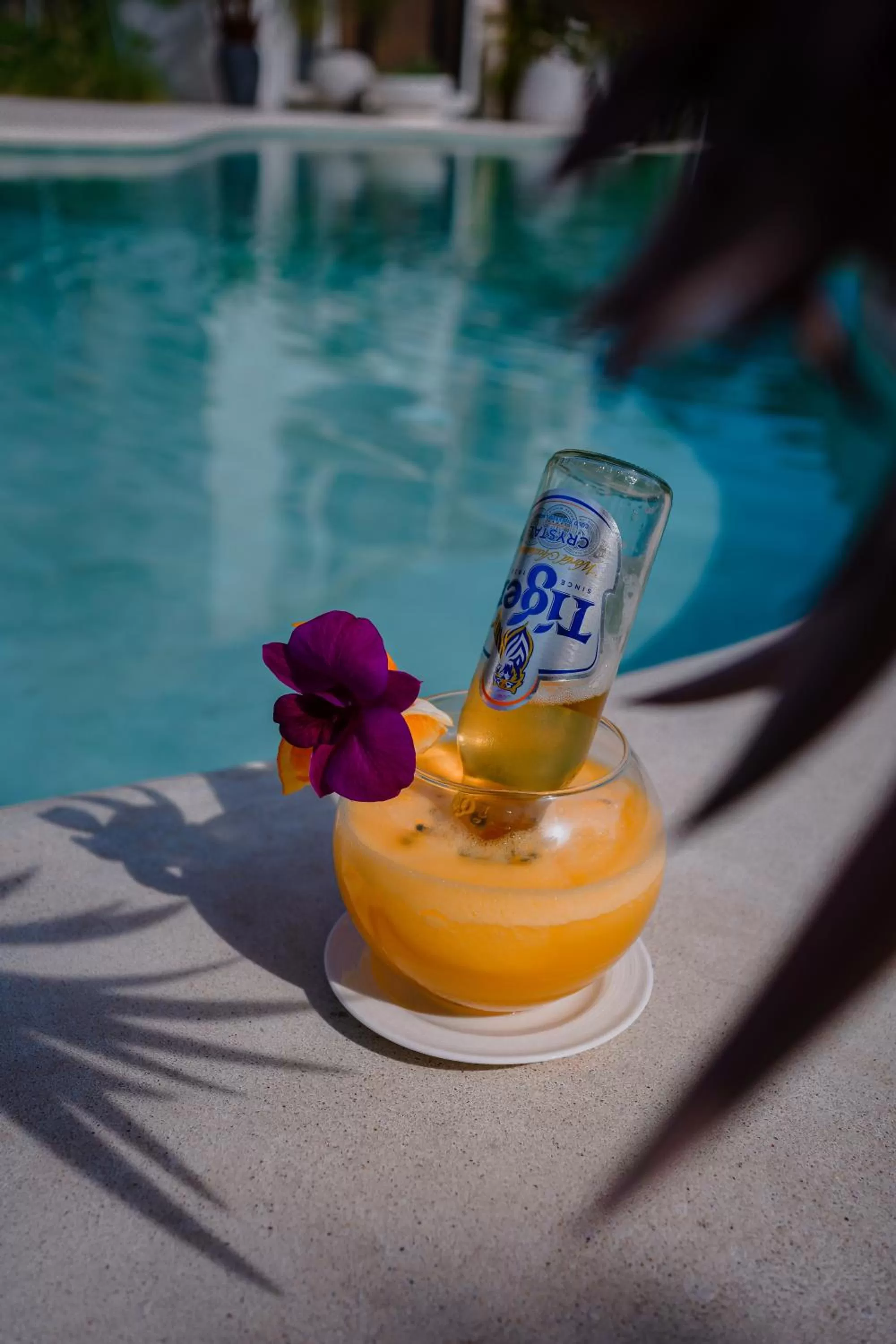 Lounge or bar in Montagne Residence