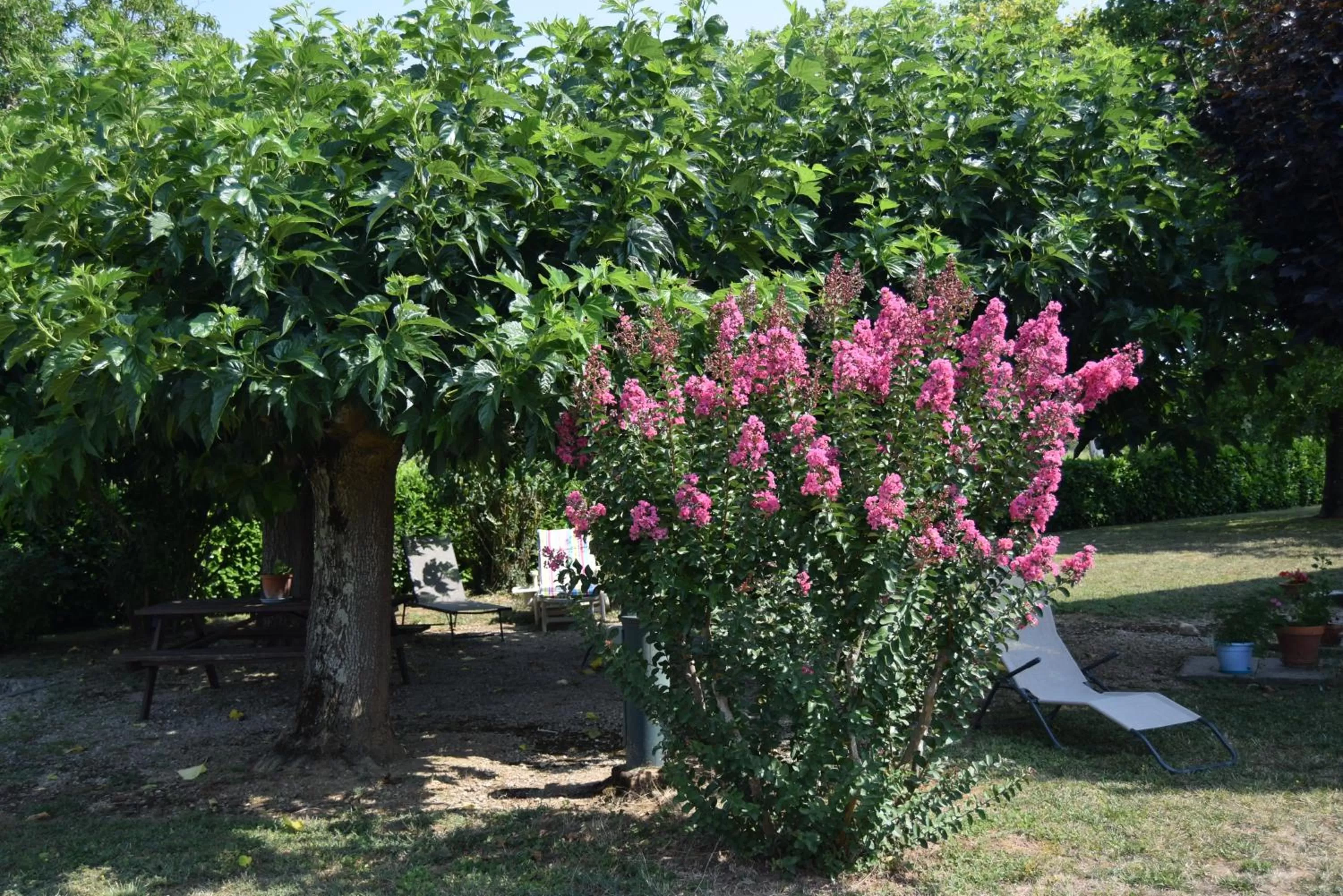 Garden in Le Nid de l'Ecureuil