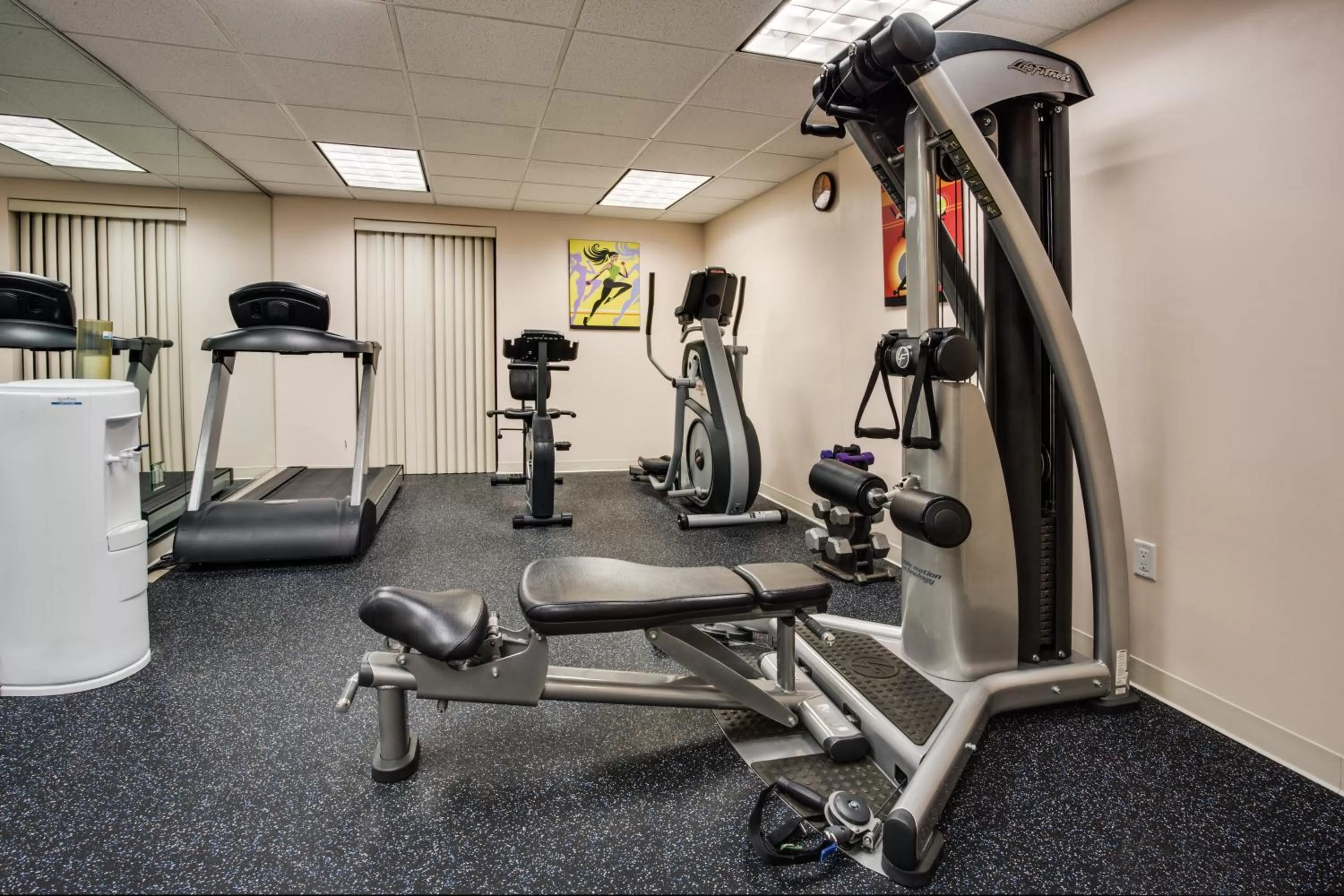 Fitness centre/facilities in Holiday Inn Express Hotel & Suites Tampa-Oldsmar by IHG