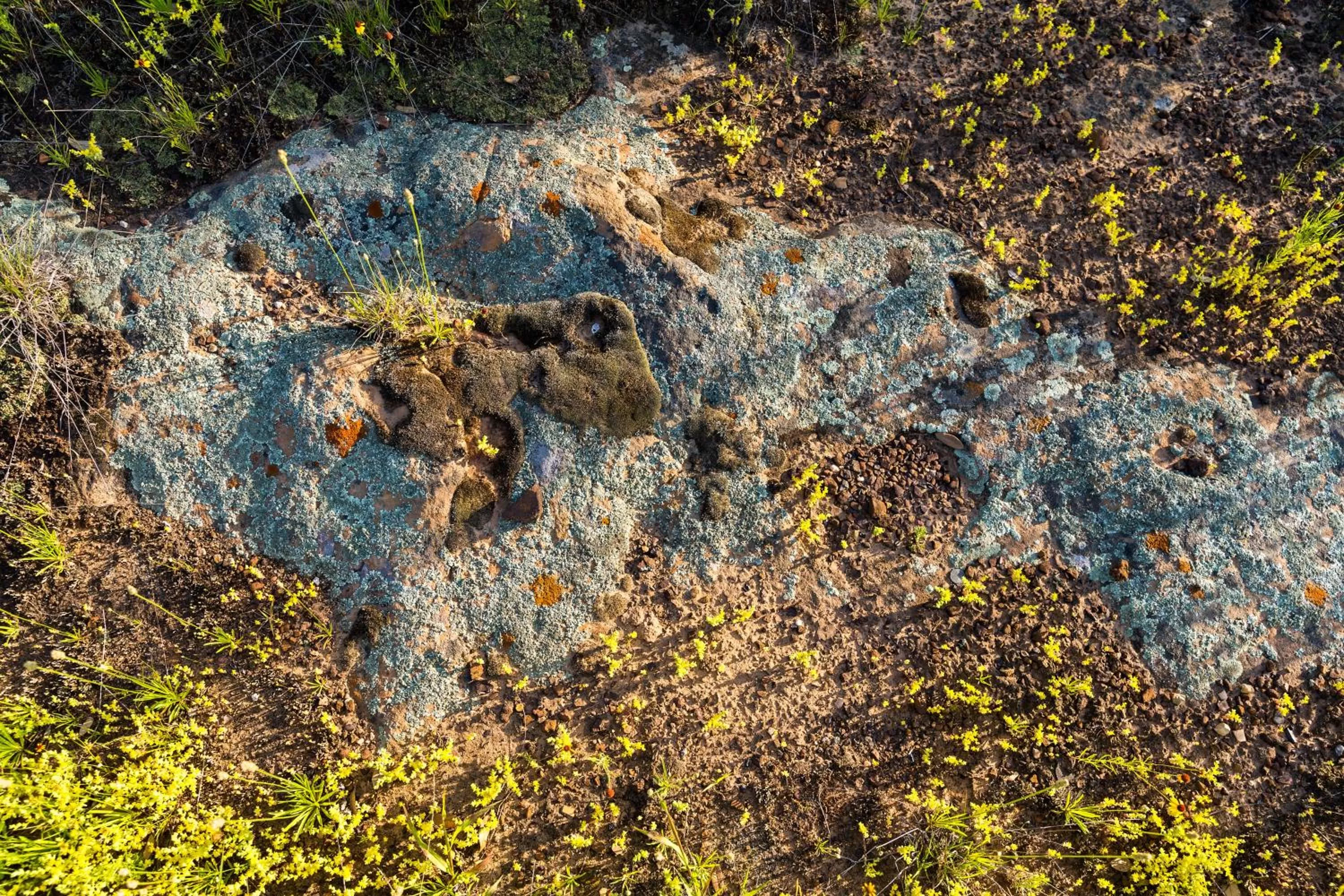 Natural landscape in Wildcatter Ranch and Resort