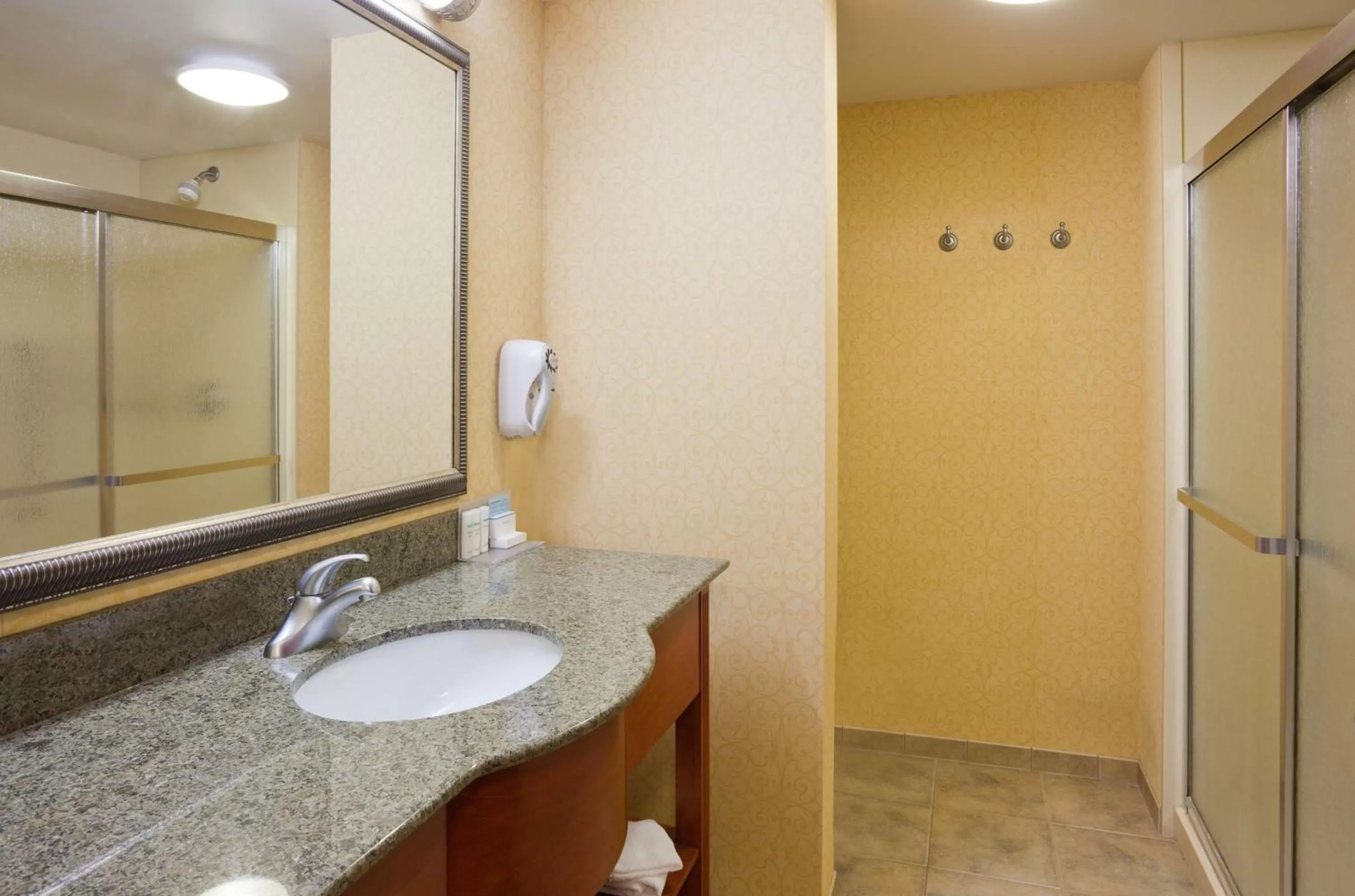 Bathroom in Hampton Inn & Suites Lino Lakes