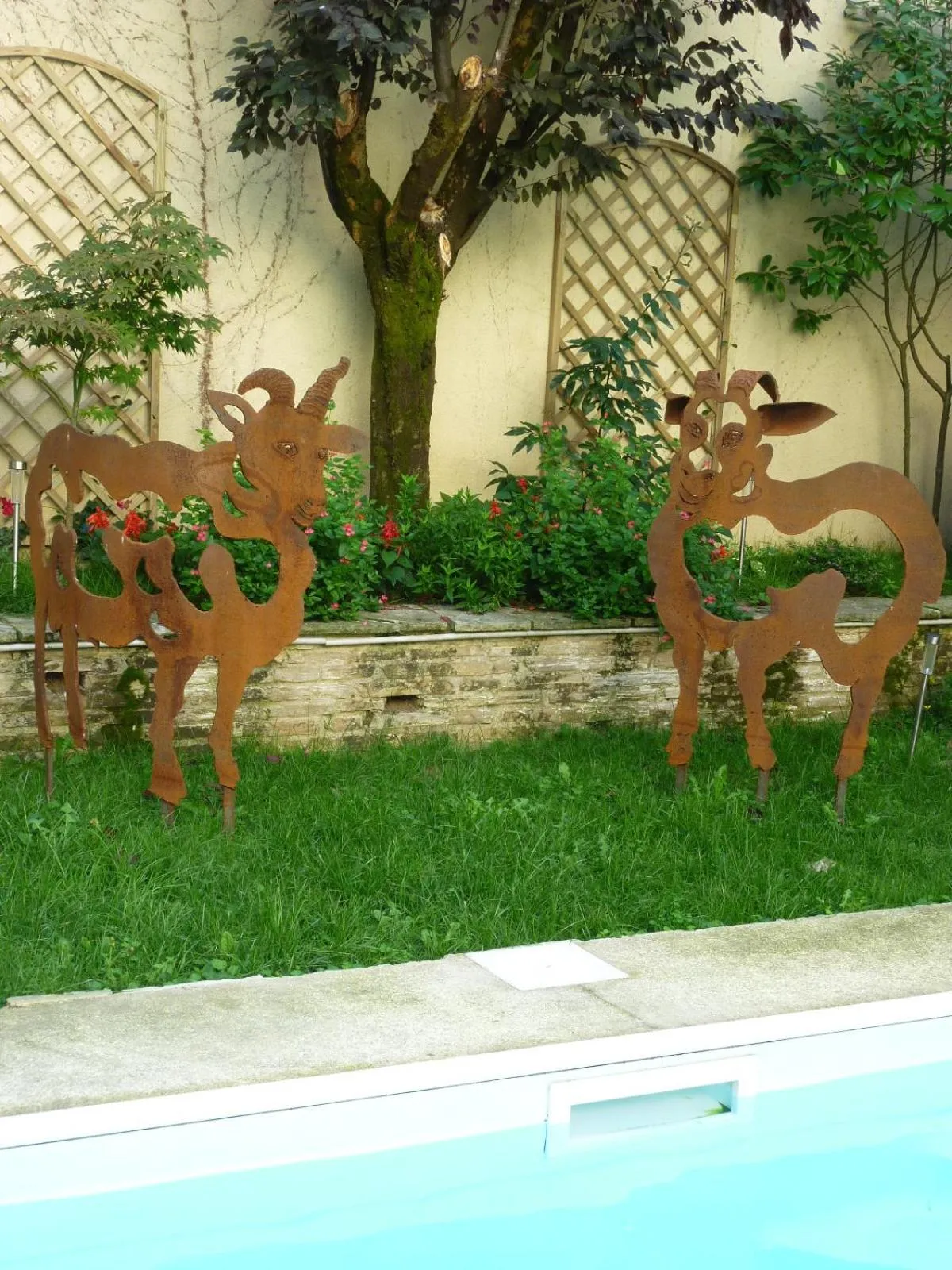 Garden in Hotel de France