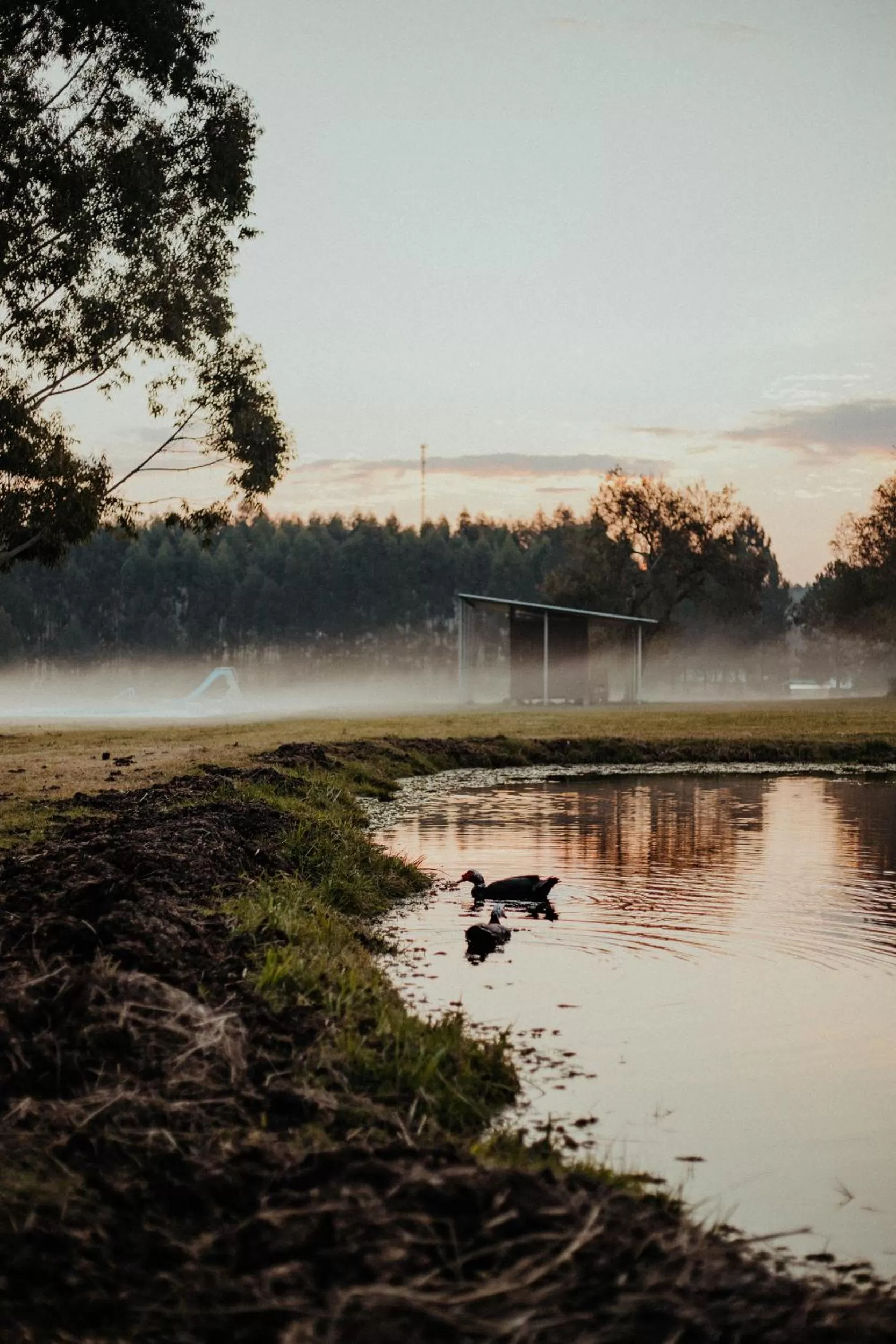Landmark view in MUMA Hotel - Museo de la Madera
