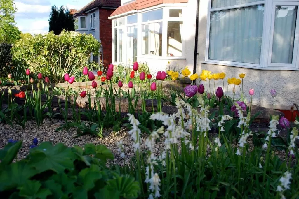 Facade/entrance in Comfortable rooms