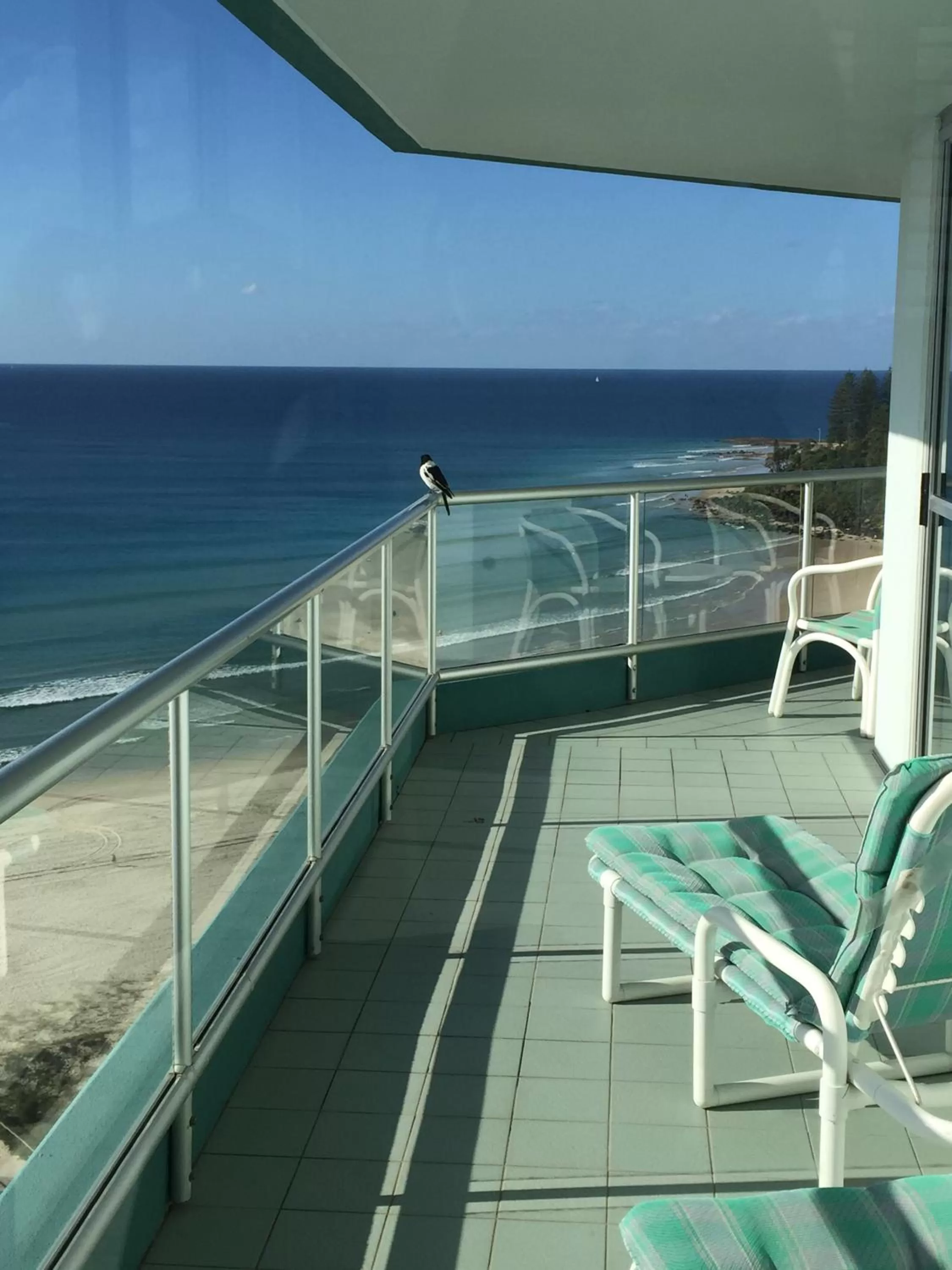 Day in Ocean Plaza Resort