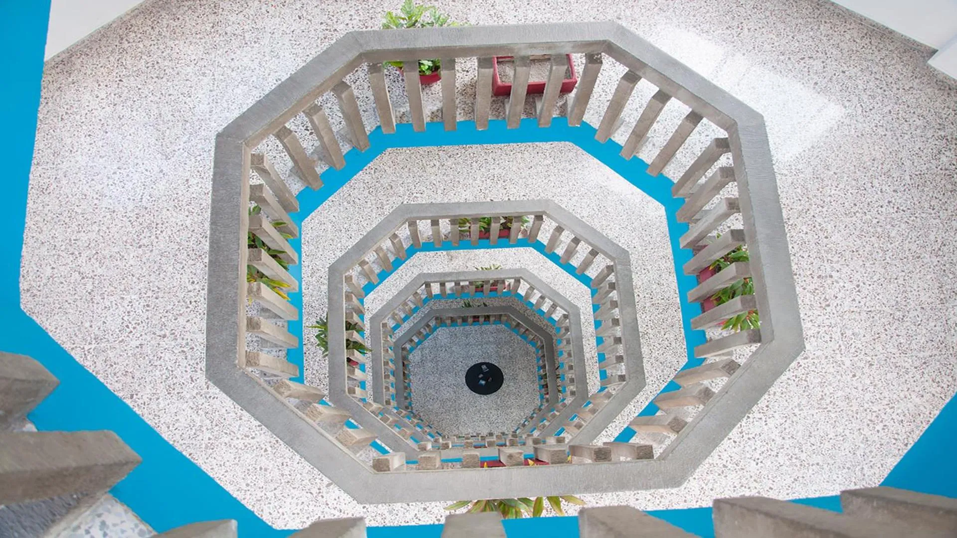 Decorative detail in Dorados Acapulco