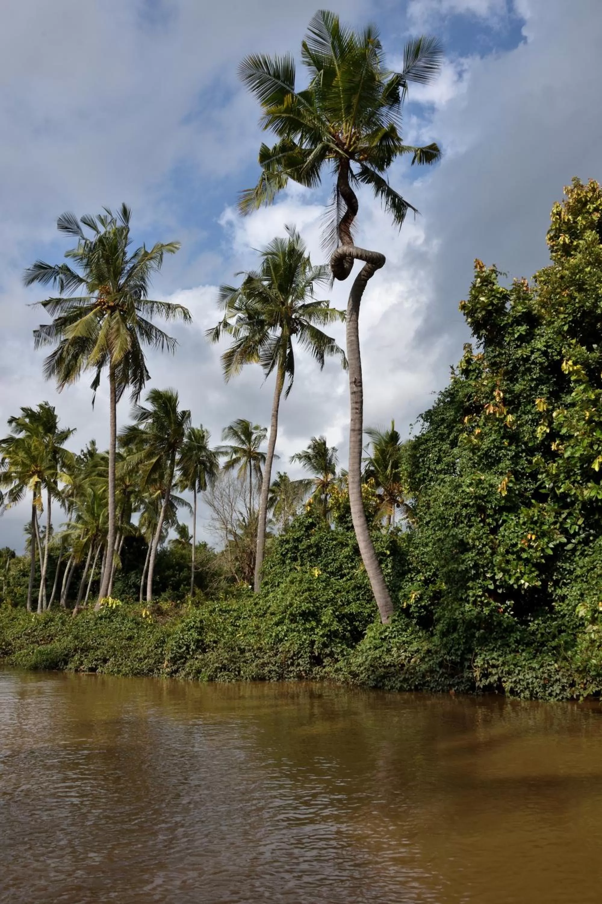 Activities in Bahari Pori Resort