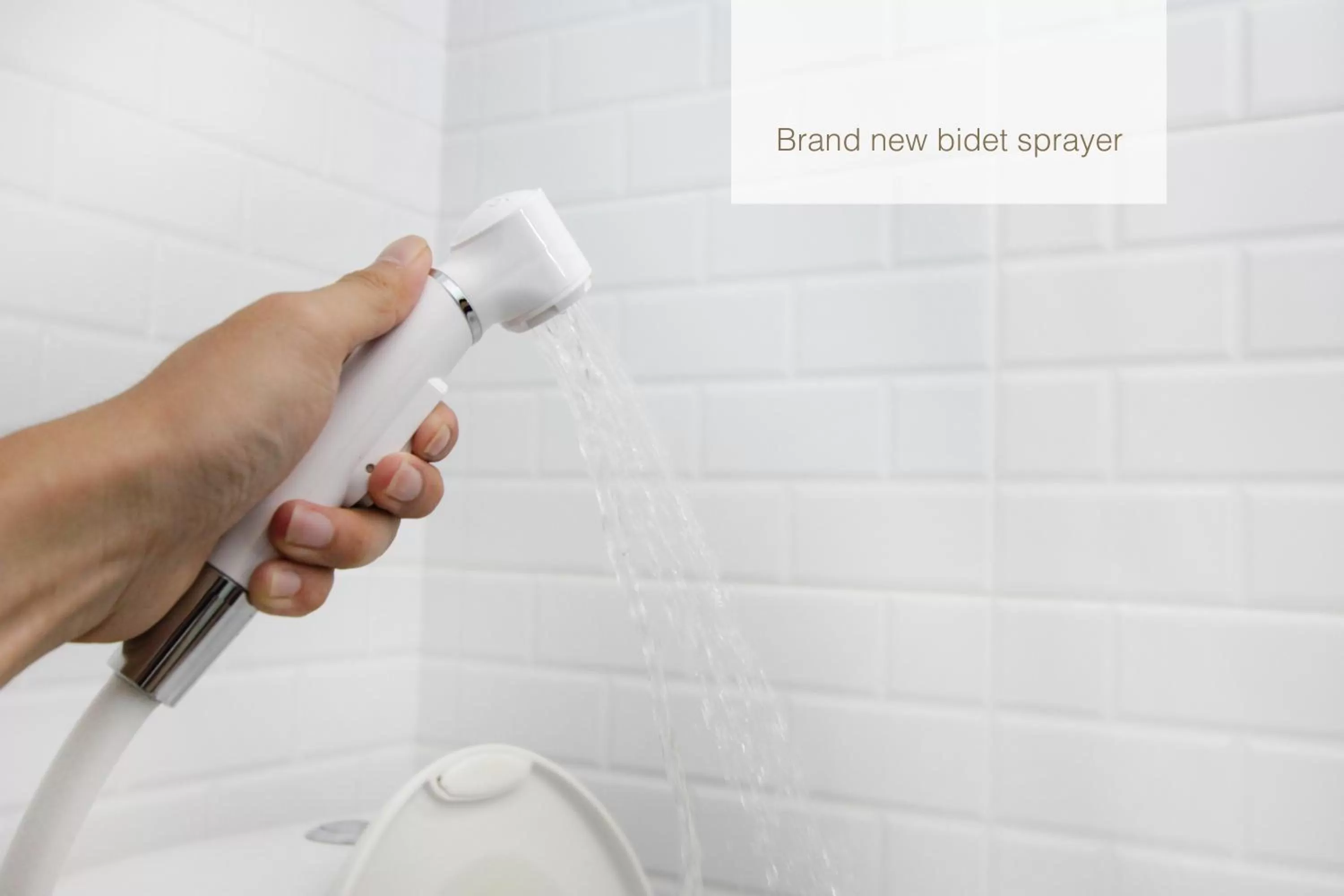 Bathroom in New Star