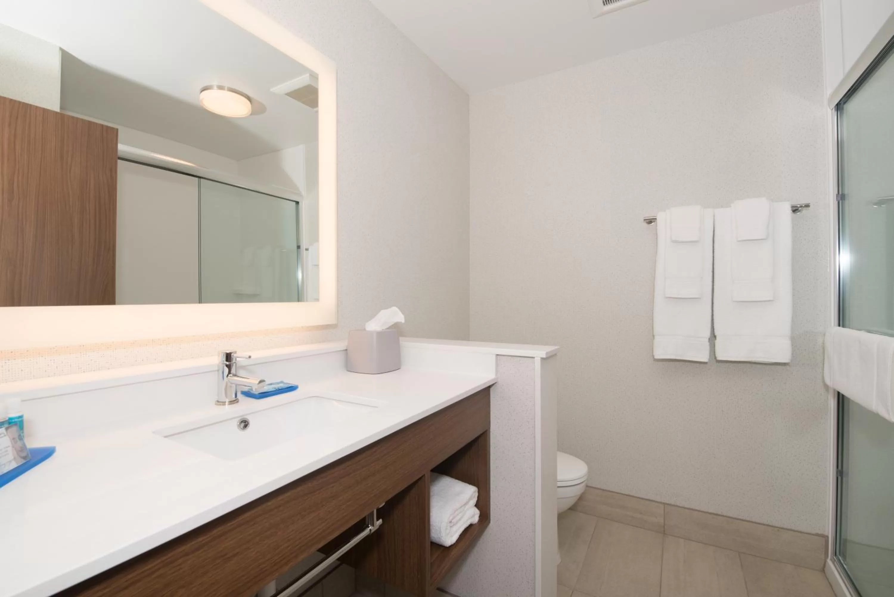 Bathroom in Holiday Inn Express & Suites Lehi - Thanksgiving Point by IHG