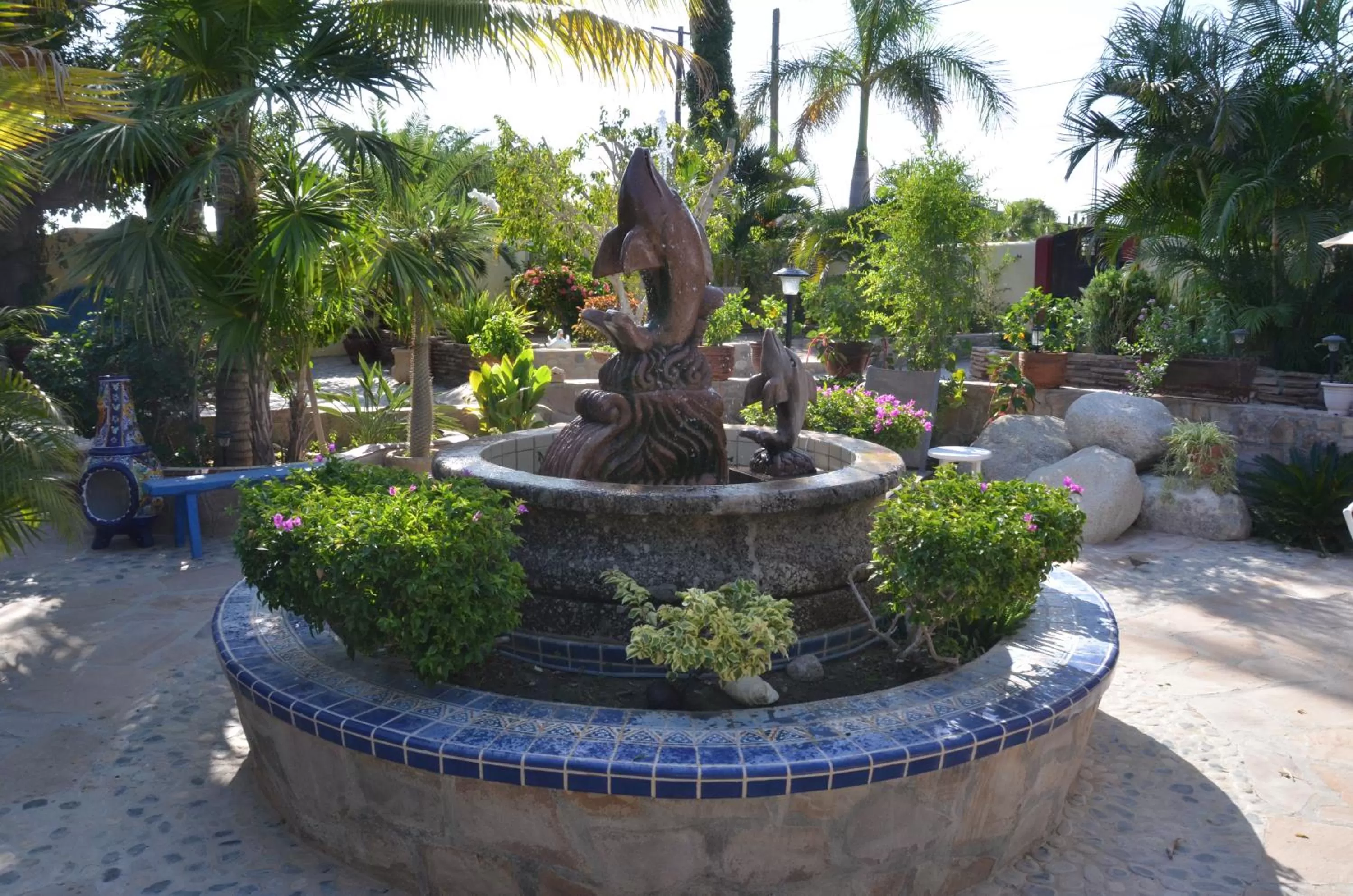 Garden in Hacienda De Palmas