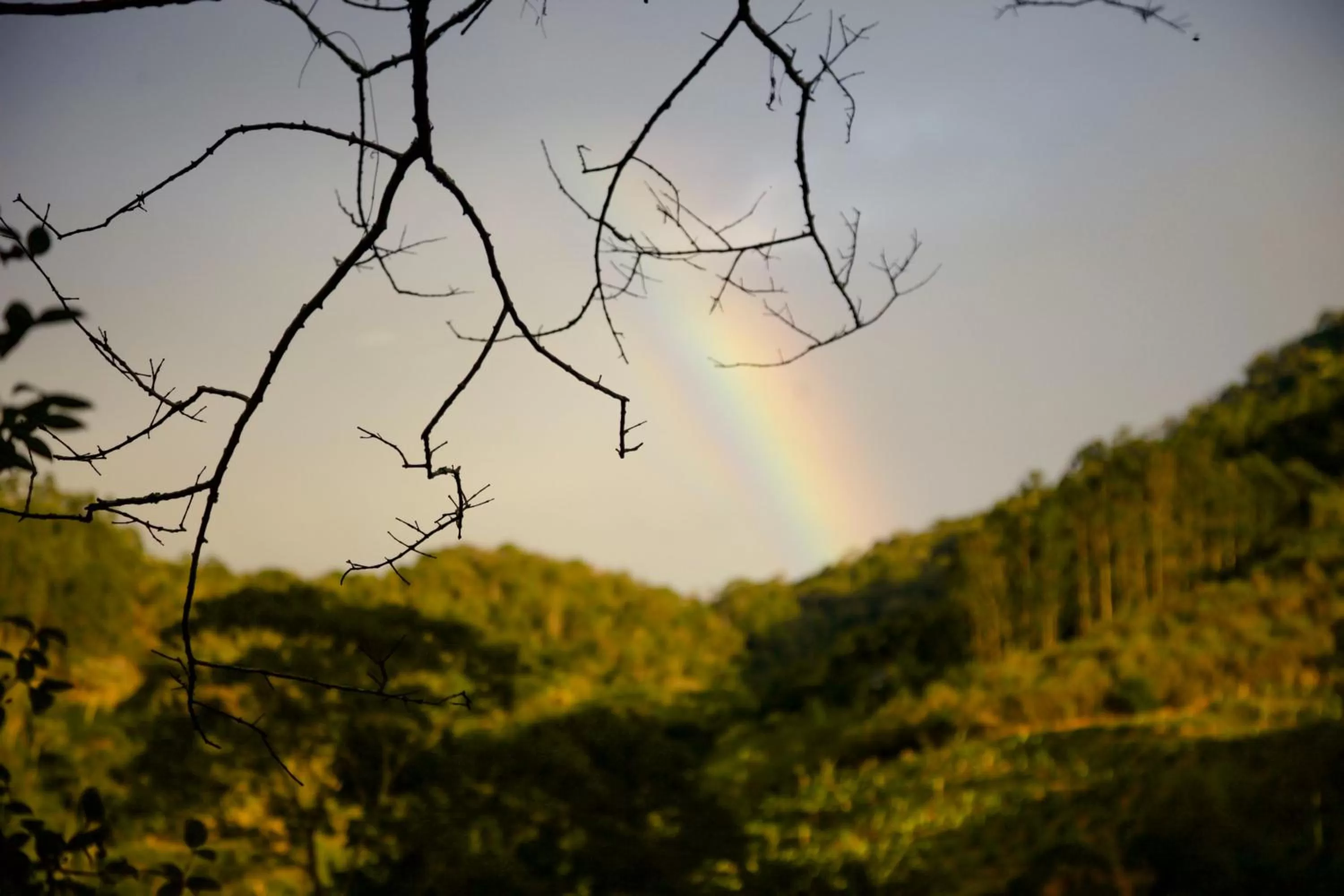 Natural landscape in Pousada Vila do Loro