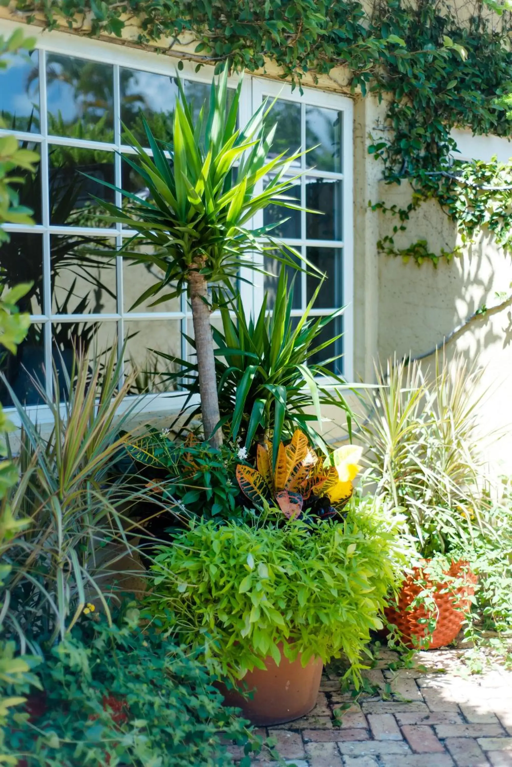 Superior Suite in Hotel Escalante Superior Suite in Hotel Escalante