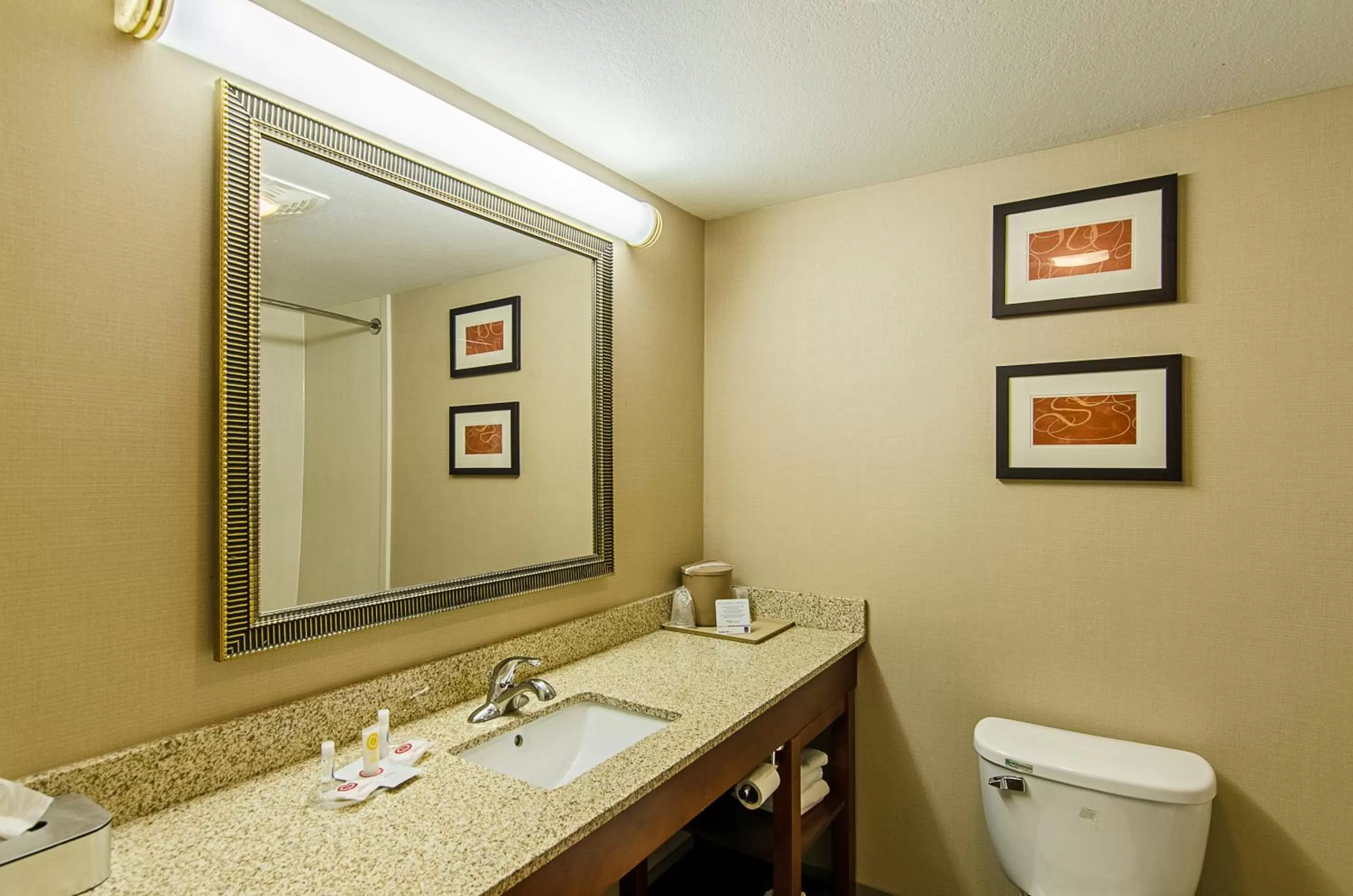 Bathroom in Comfort Suites Wytheville