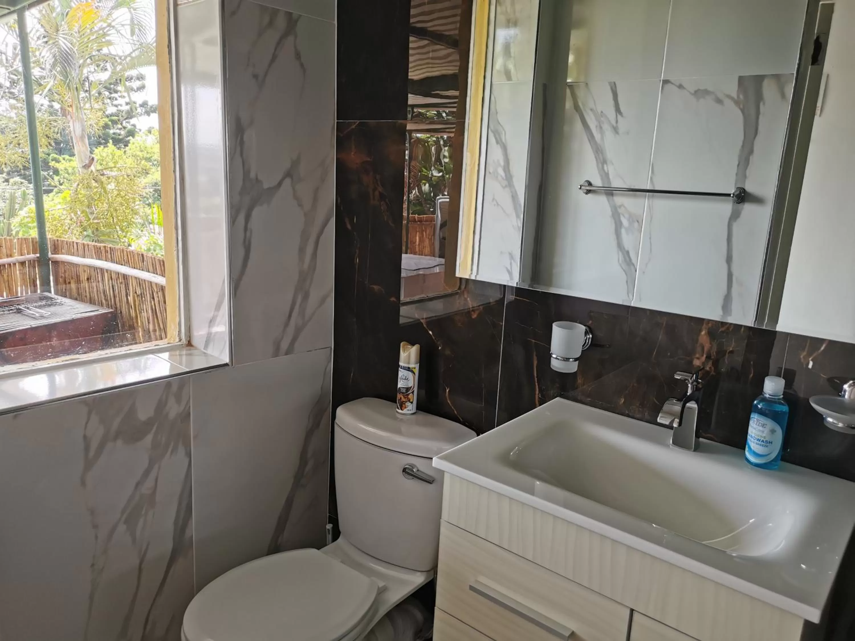 Bathroom in Gem of Manor drive