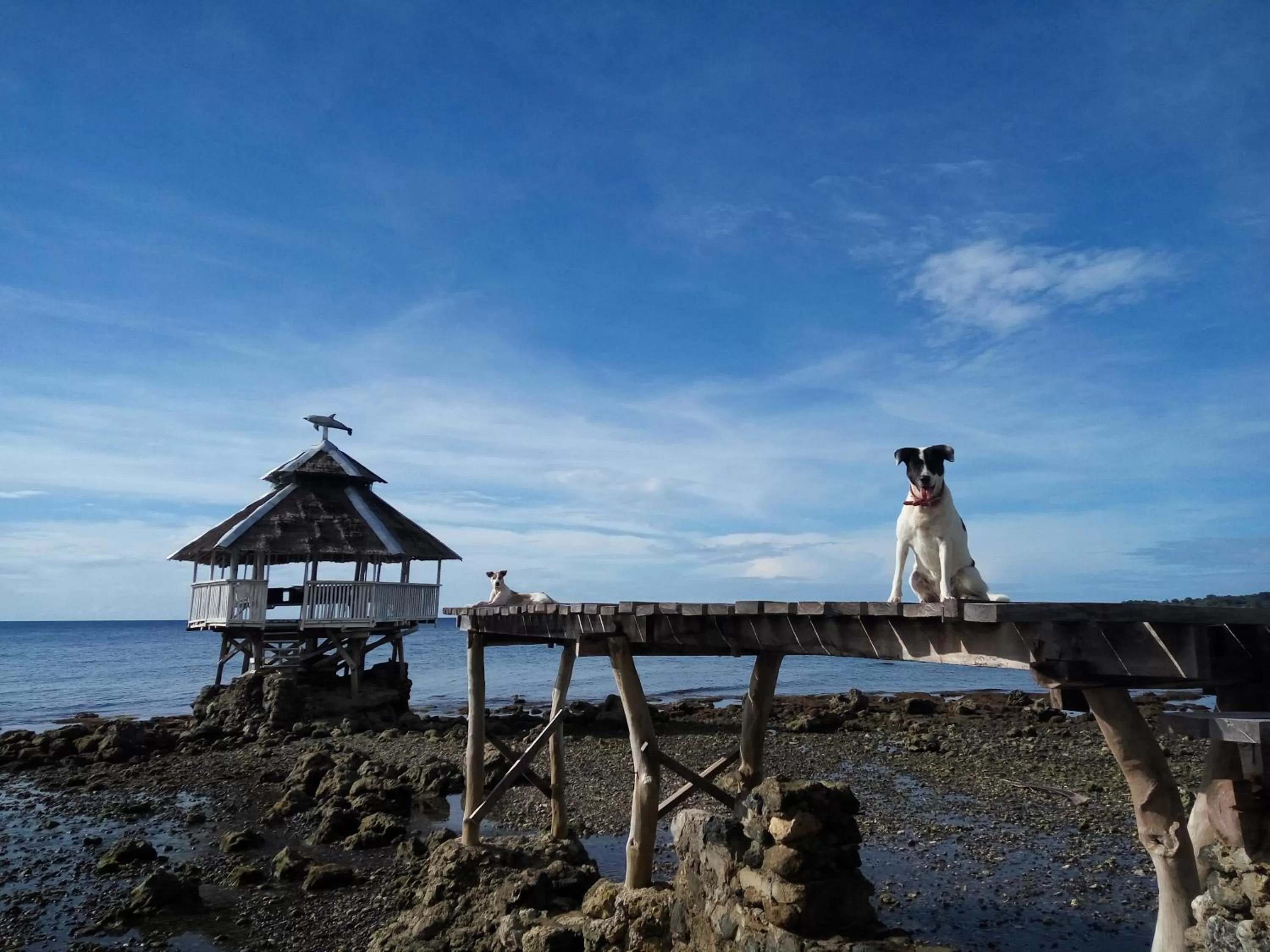 Natural landscape in Paseo Del Mar Seaside Inn