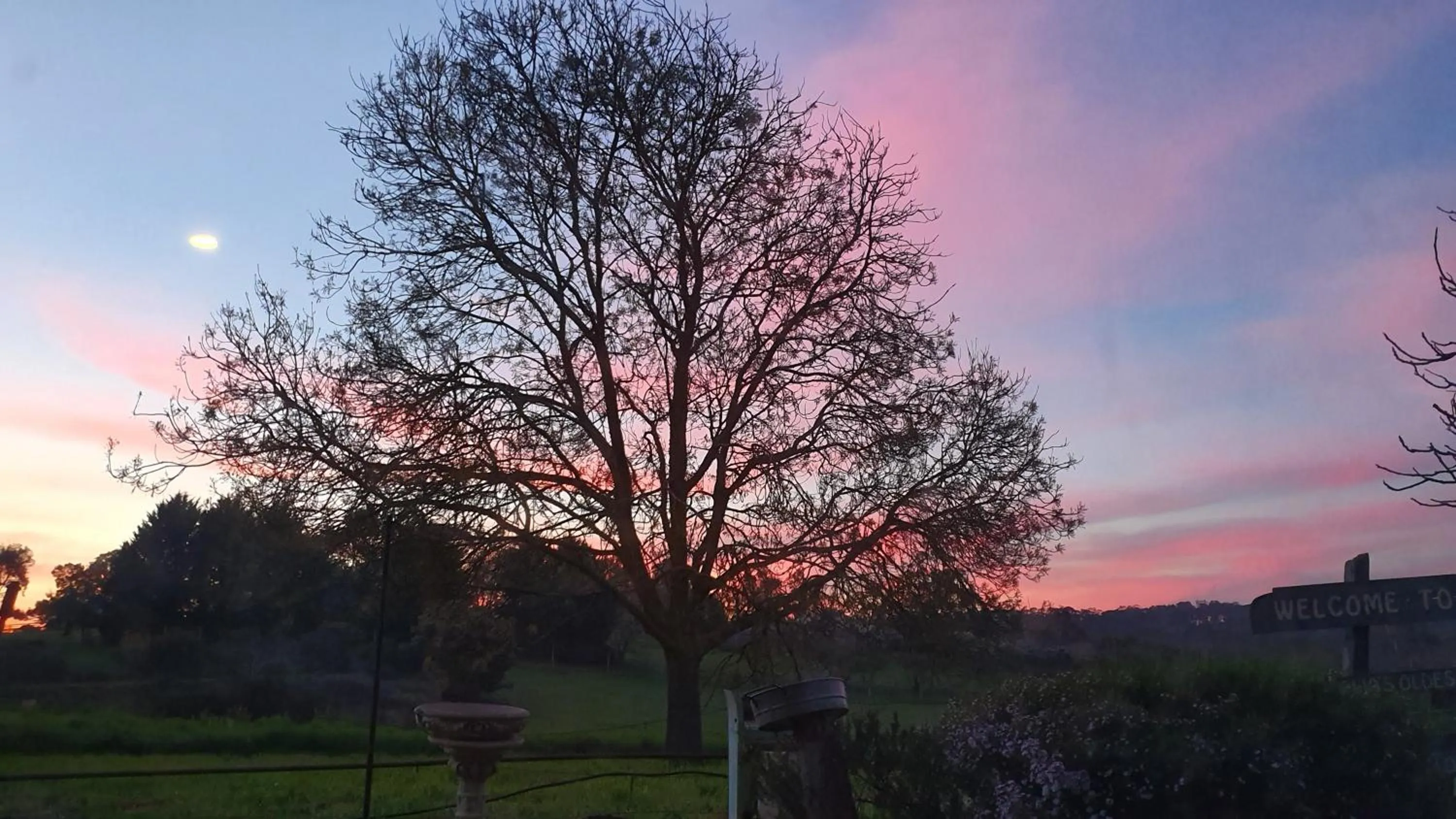 Natural landscape in Amble at Hahndorf