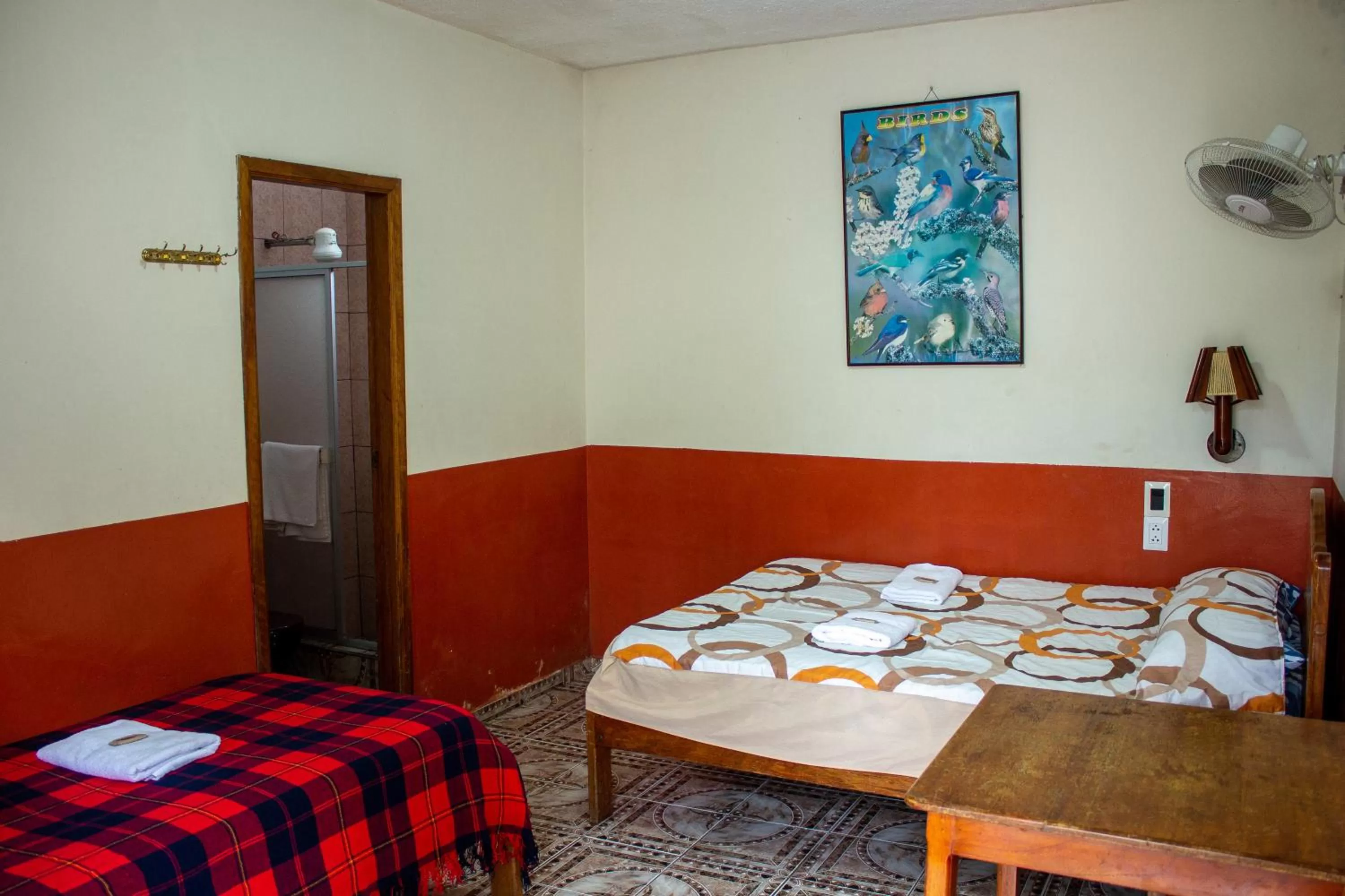 Bed in Hostal Limoncocha