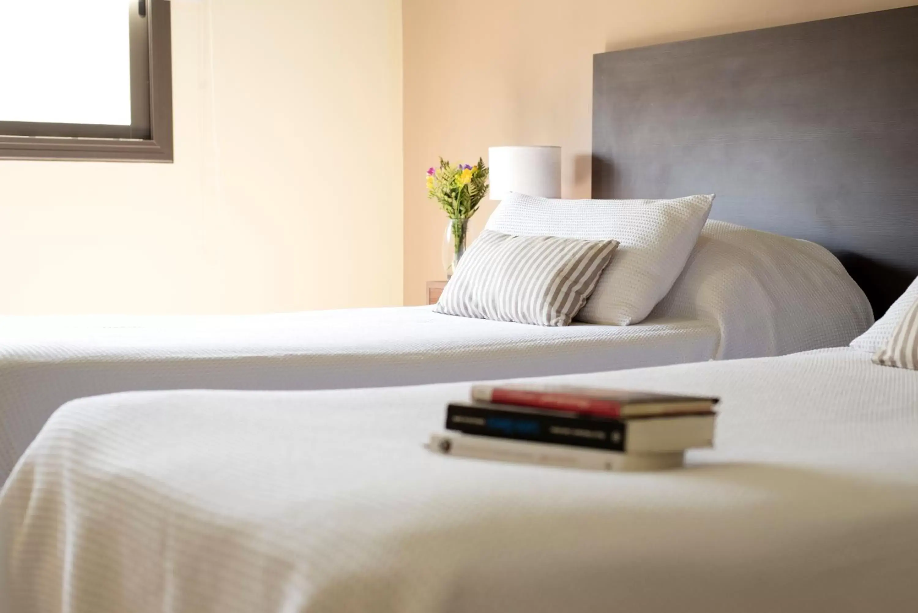 Standard Double Room in Casa Campus Pilar Suites Standard Double Room in Casa Campus Pilar Suites