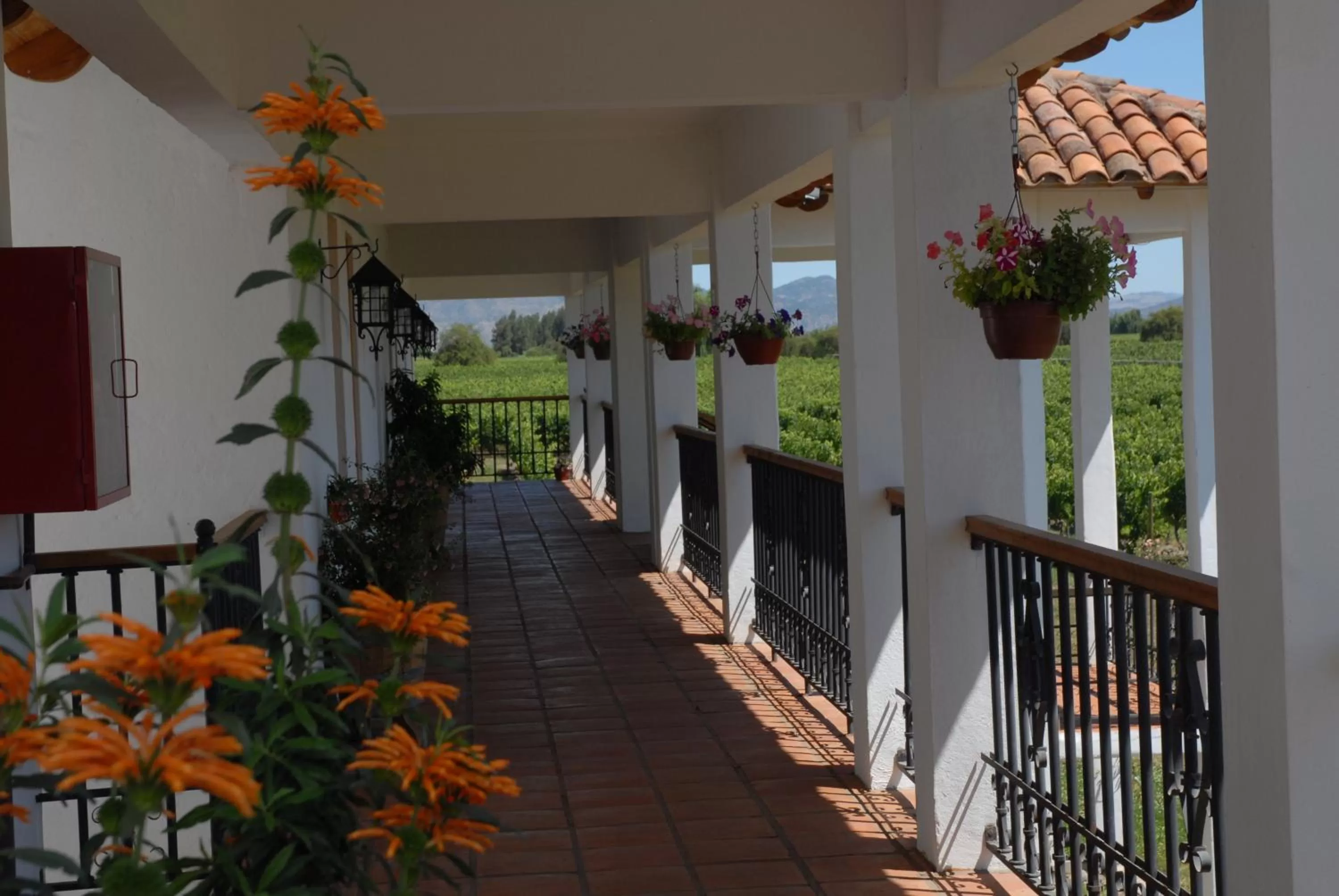 Balcony/Terrace in Hotel Terraviña