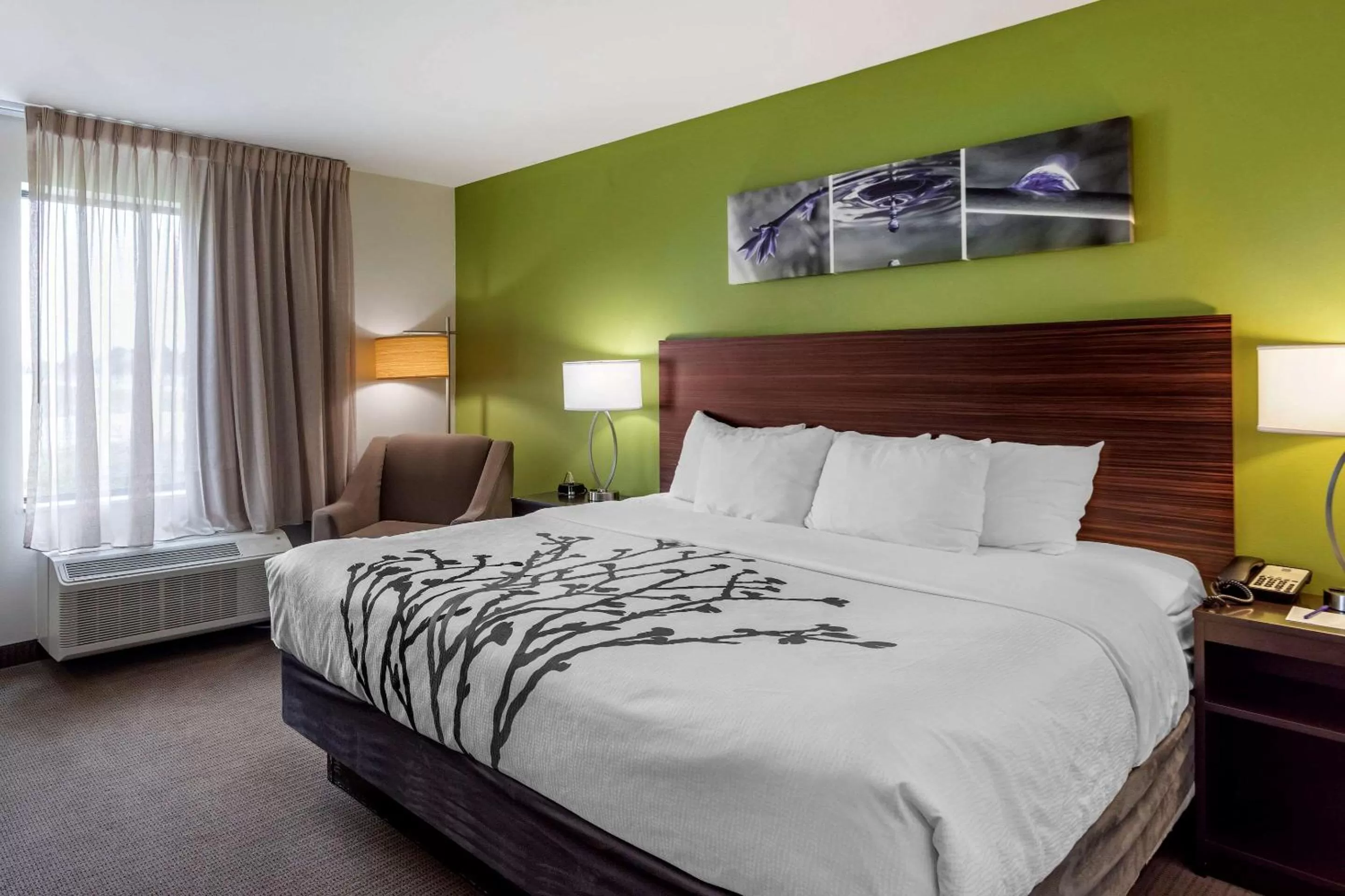 Bedroom, Bed in Sleep Inn Bowling Green North