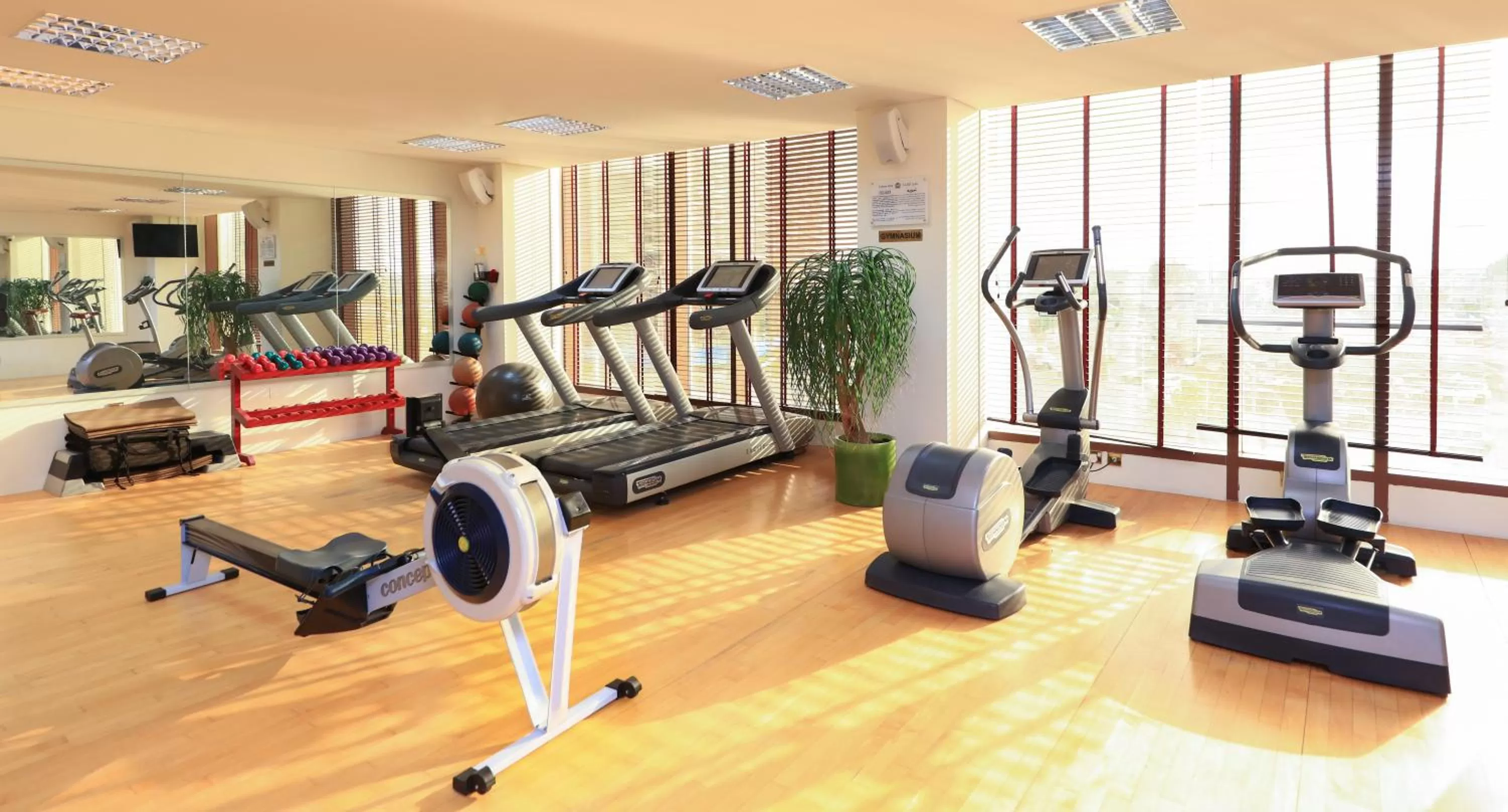 Fitness centre/facilities in Radisson Blu Hotel, Doha