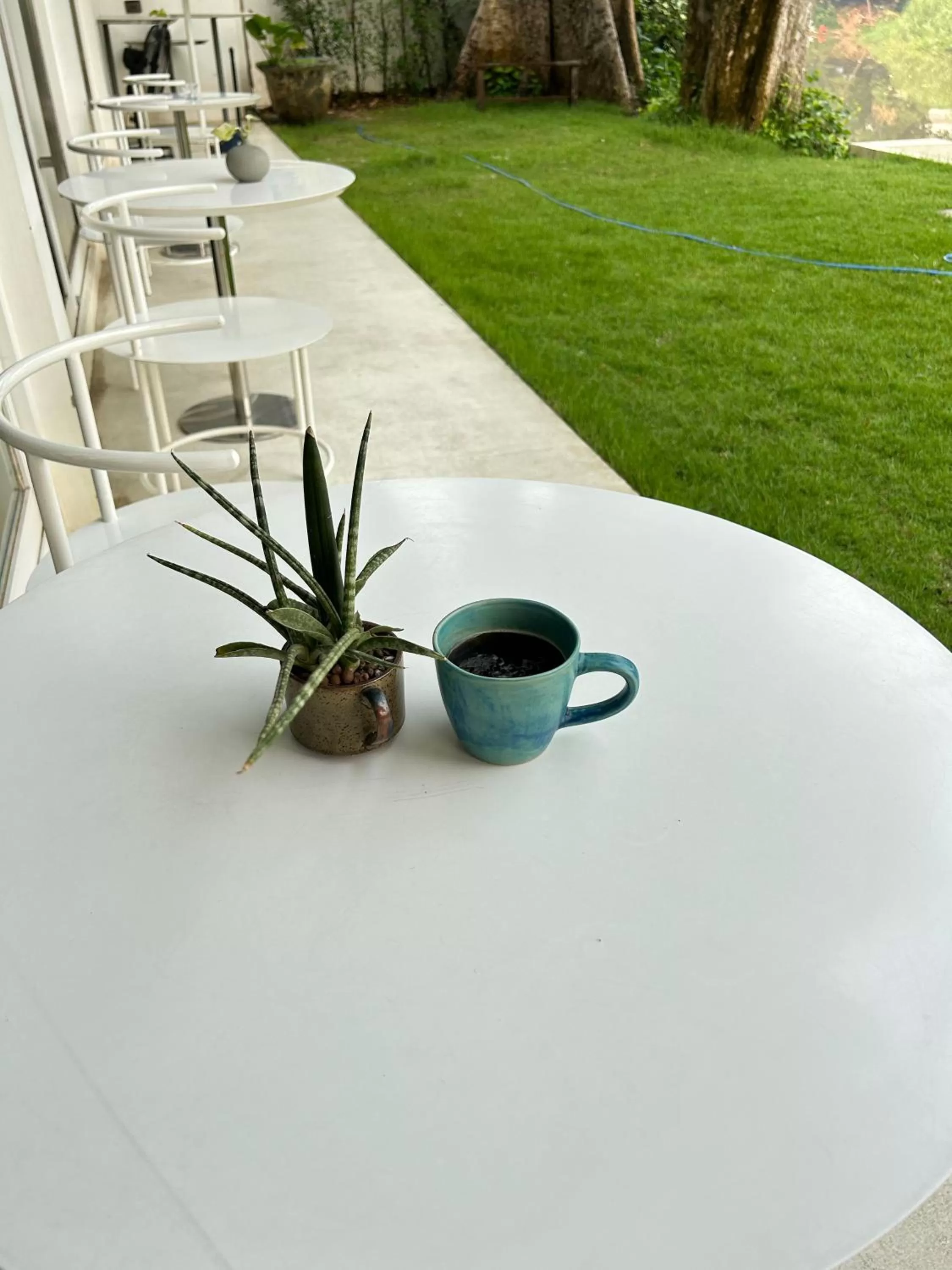 Garden in Little Shelter Hotel Chiangmai