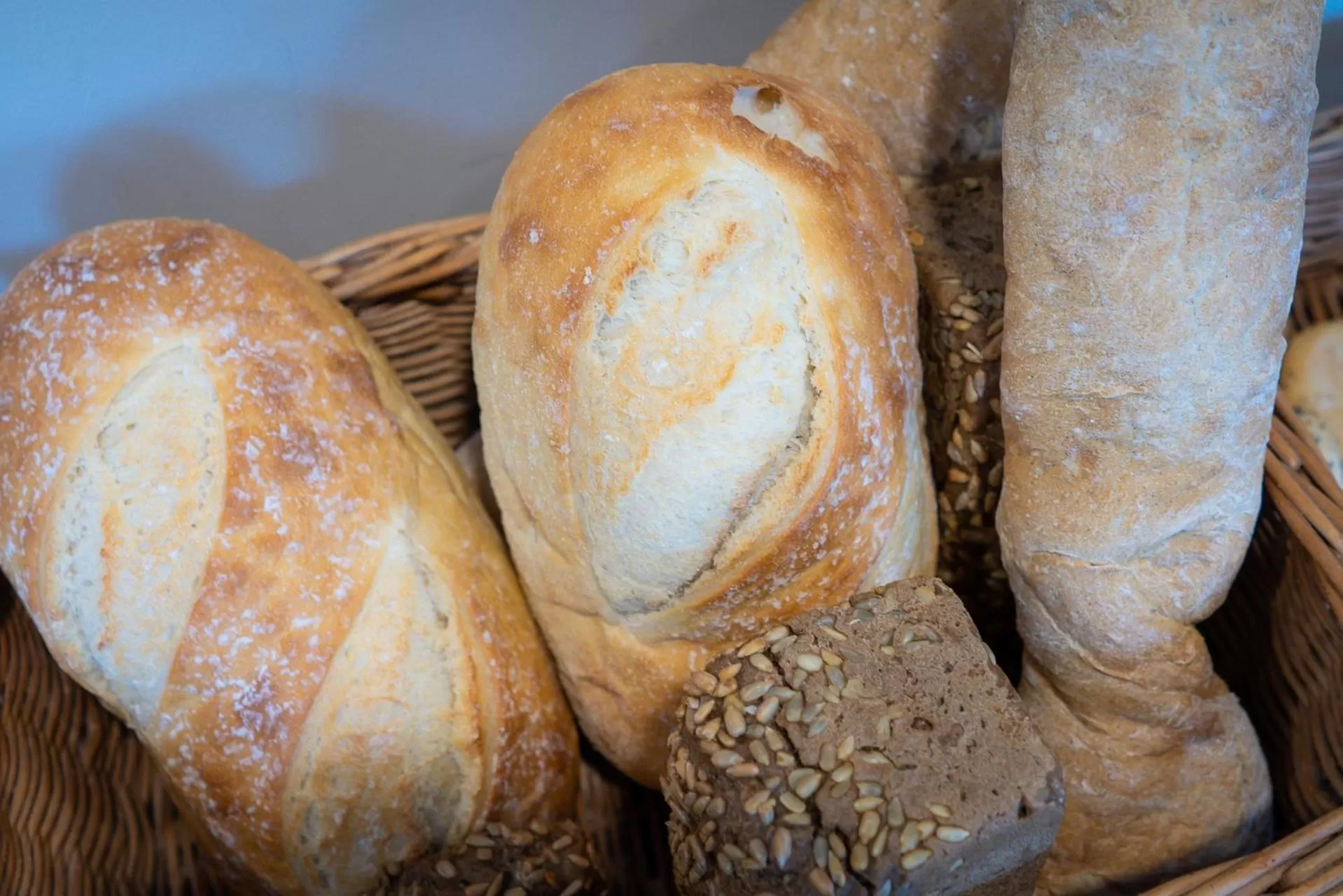 Restaurant/places to eat in Focus Hotel Łódź