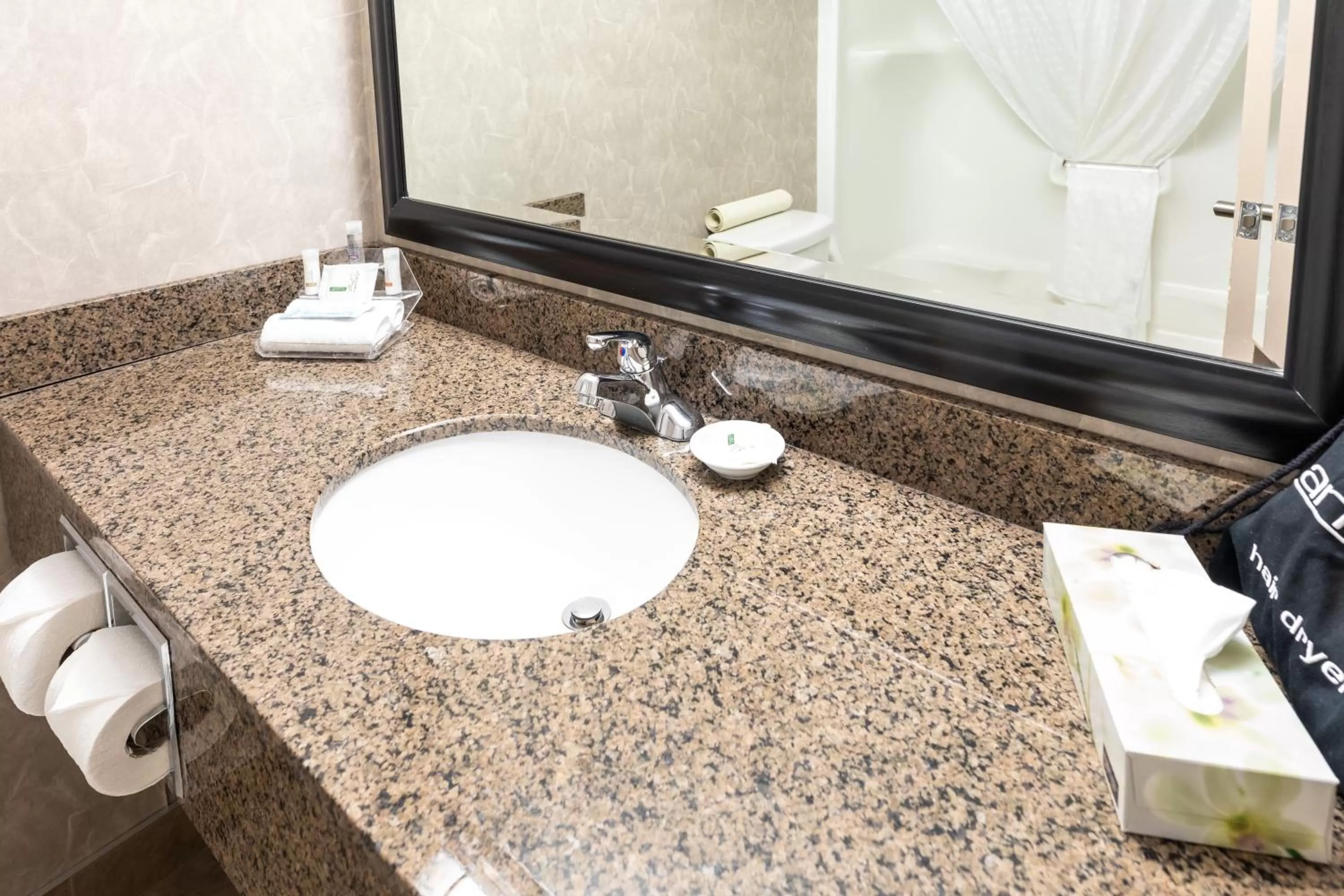 Shower in Royal Hotel West Edmonton, Trademark Collection by Wyndham