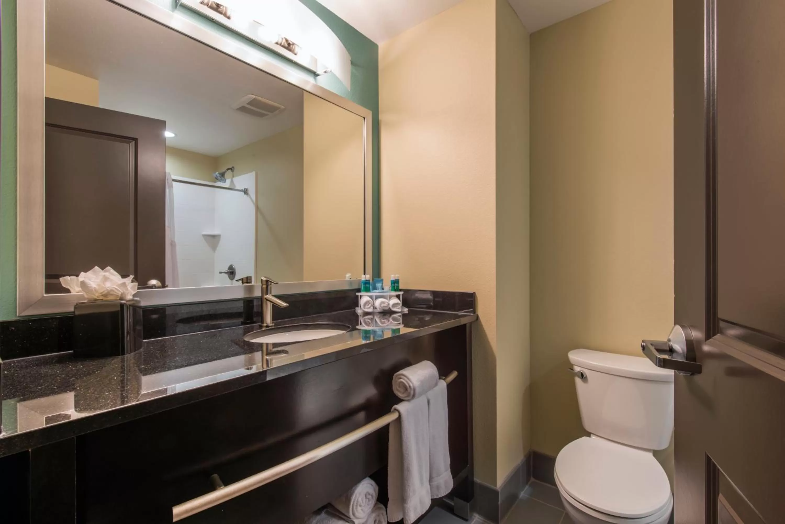 Bathroom in Holiday Inn Express & Suites Colorado Springs Central by IHG