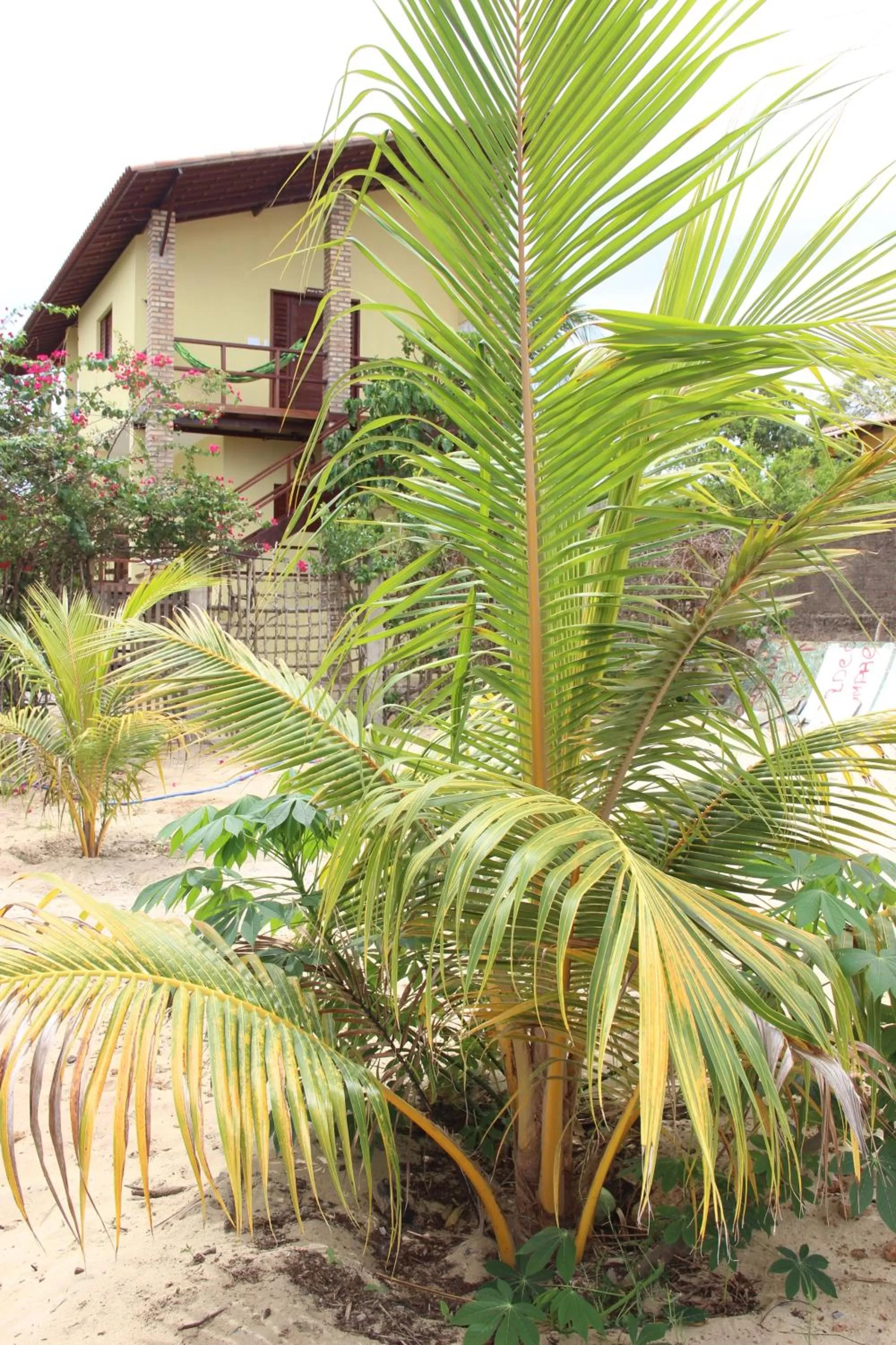 Property building in Pousada Ello