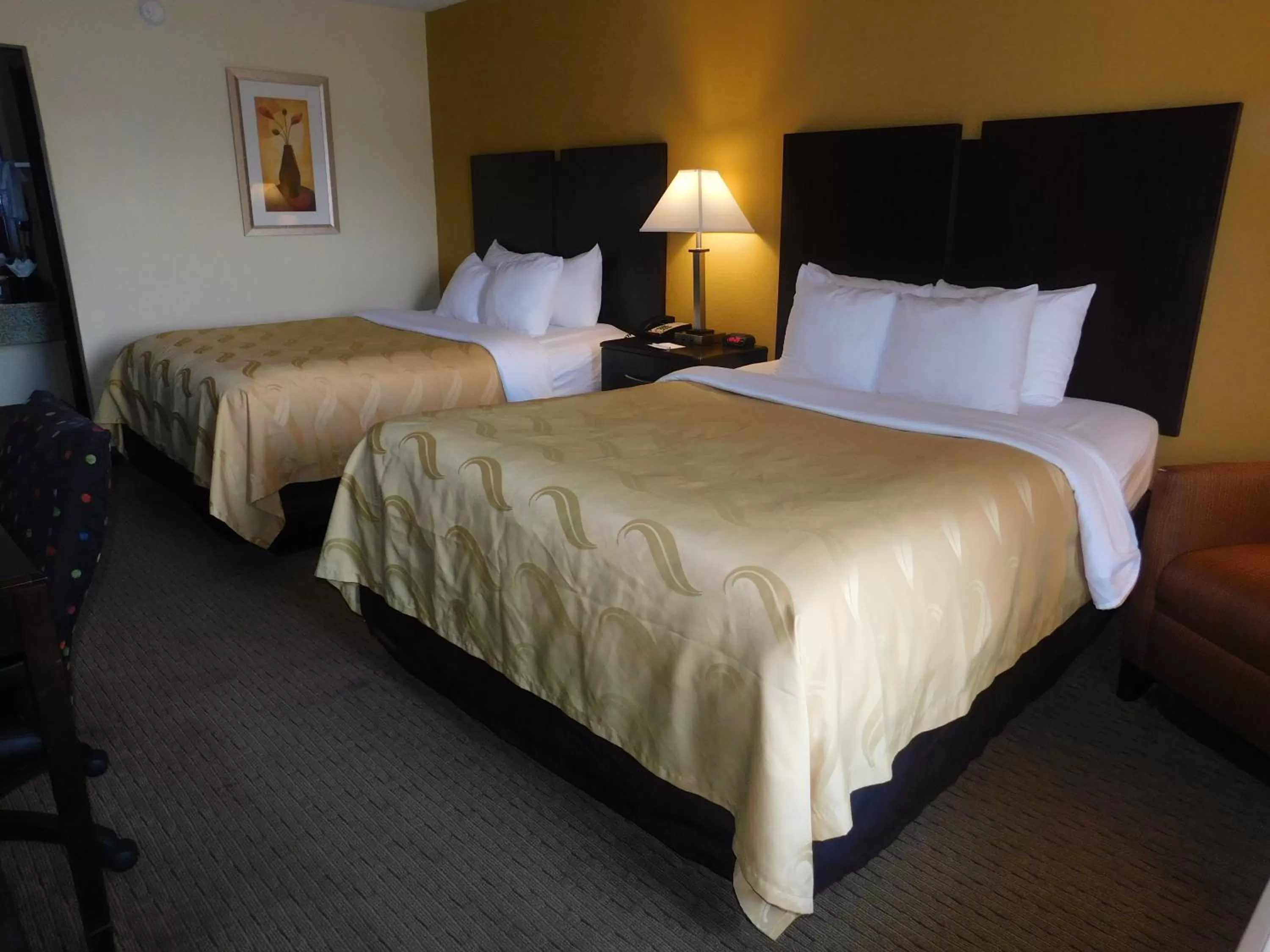 Photo of the whole room, Bed in Quality Inn Jonesville I-77