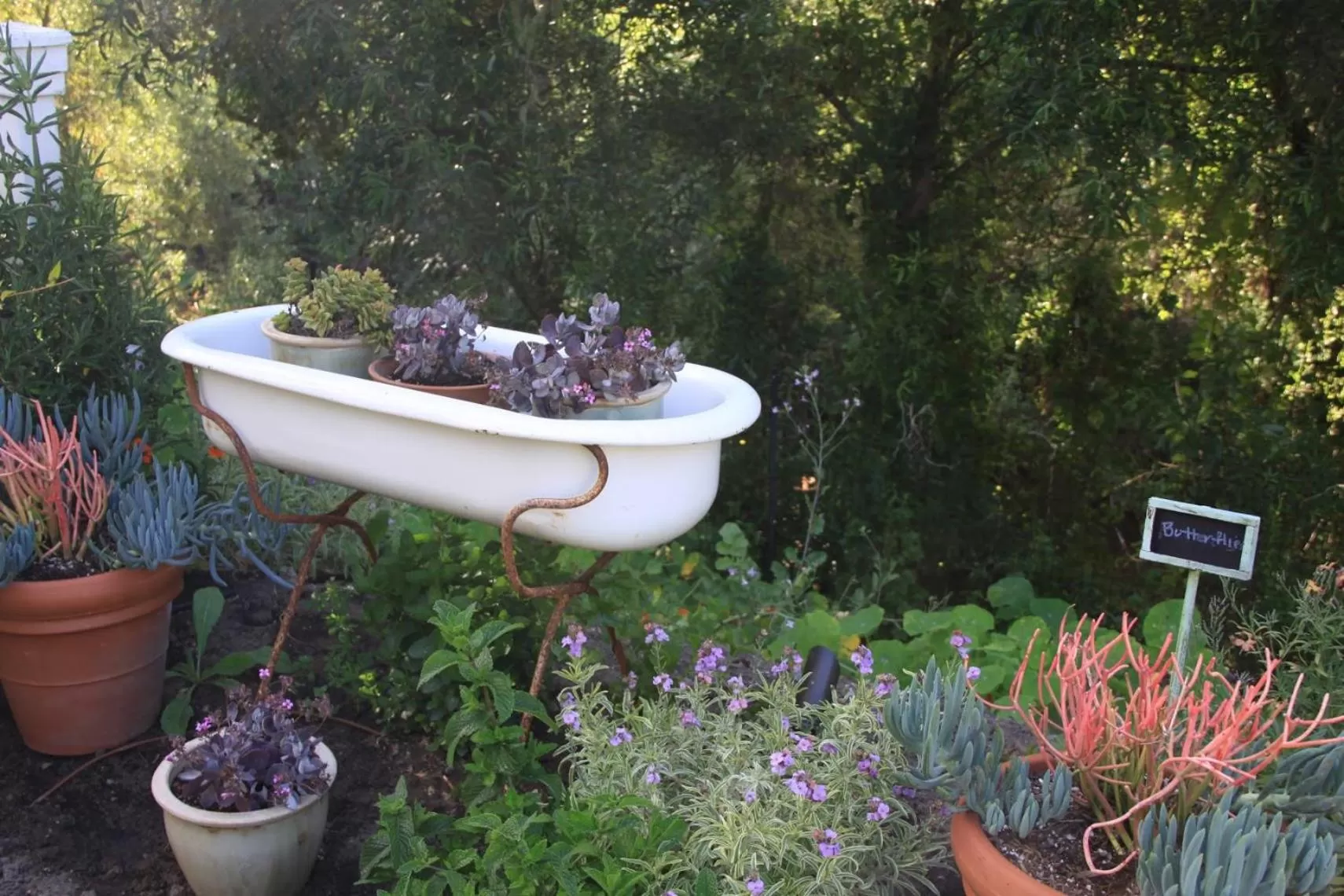 Olallieberry Inn Bed and Breakfast