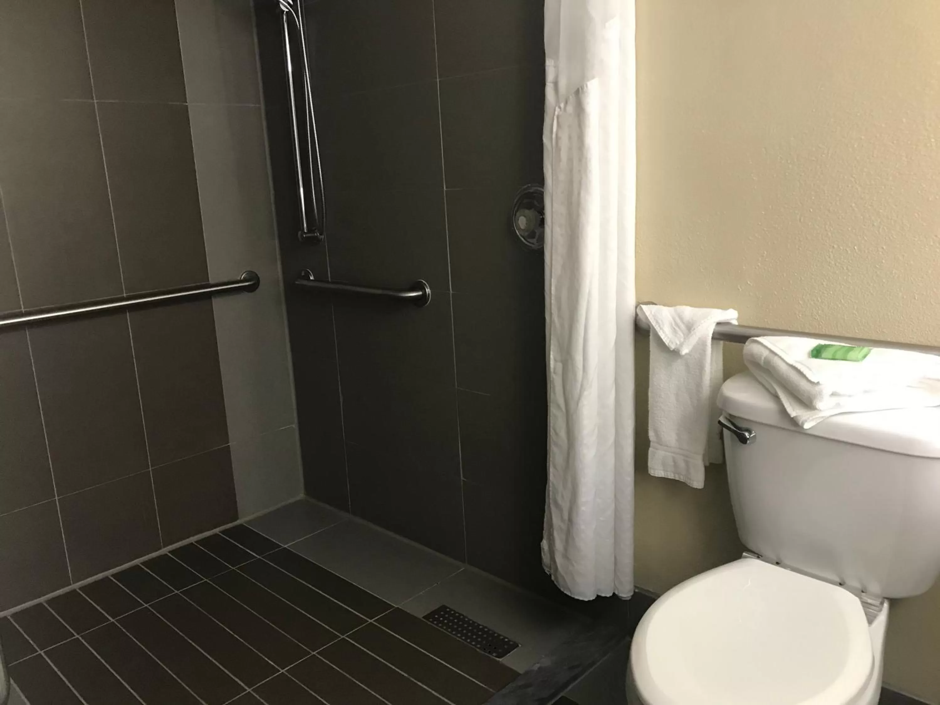 King room - Disability Access Hearing Accessible in Holiday Inn Orlando East-UCF Area by IHG
