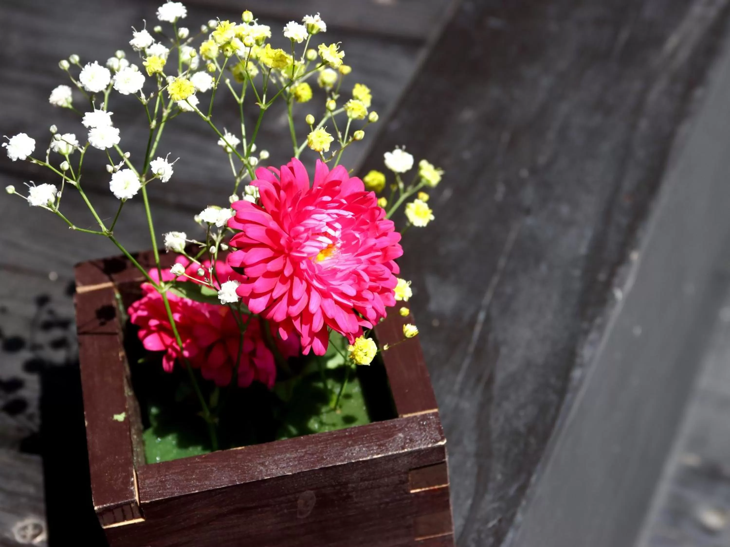 Decorative detail in Fukiya