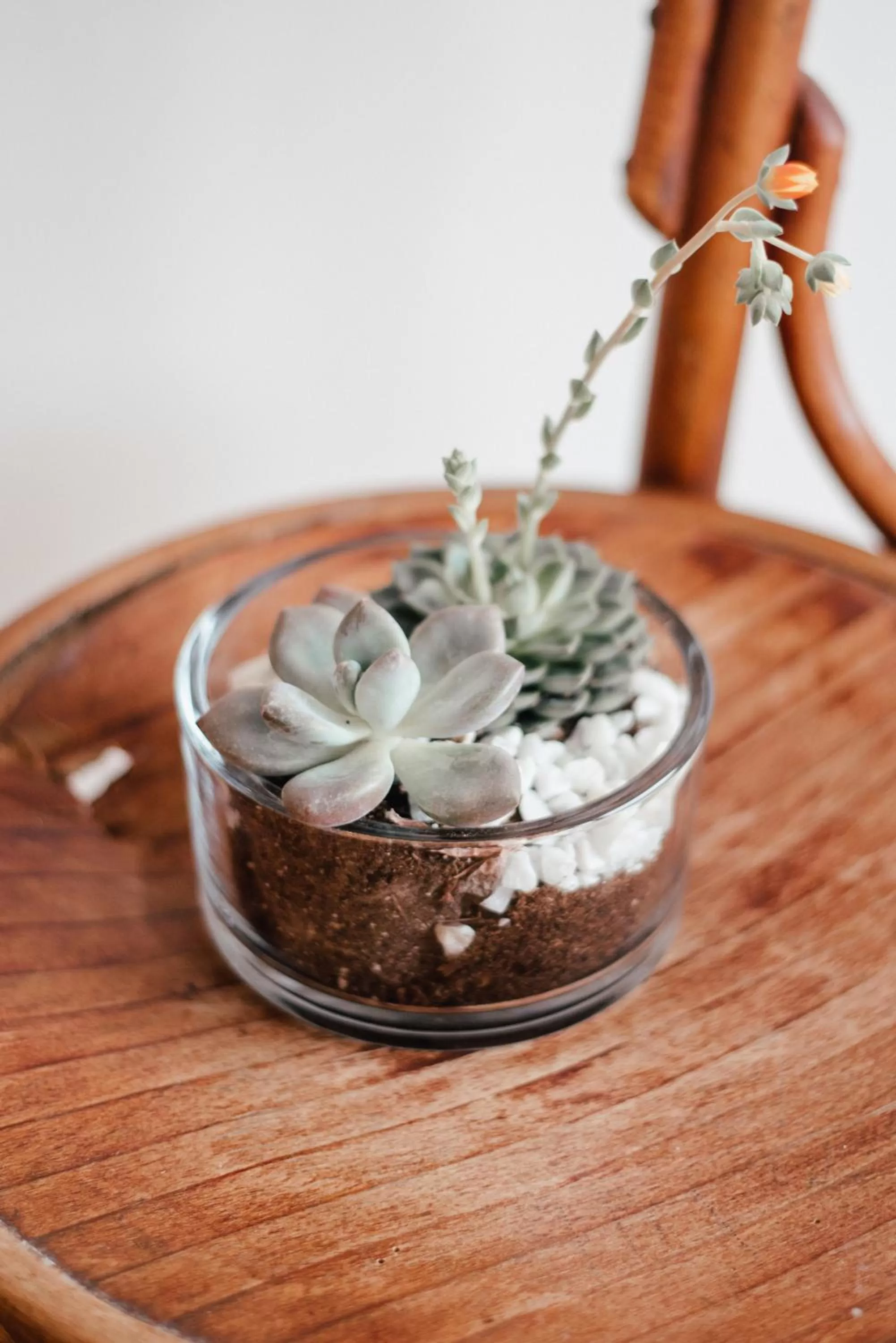 Other in Smarthotel Völkermarkt