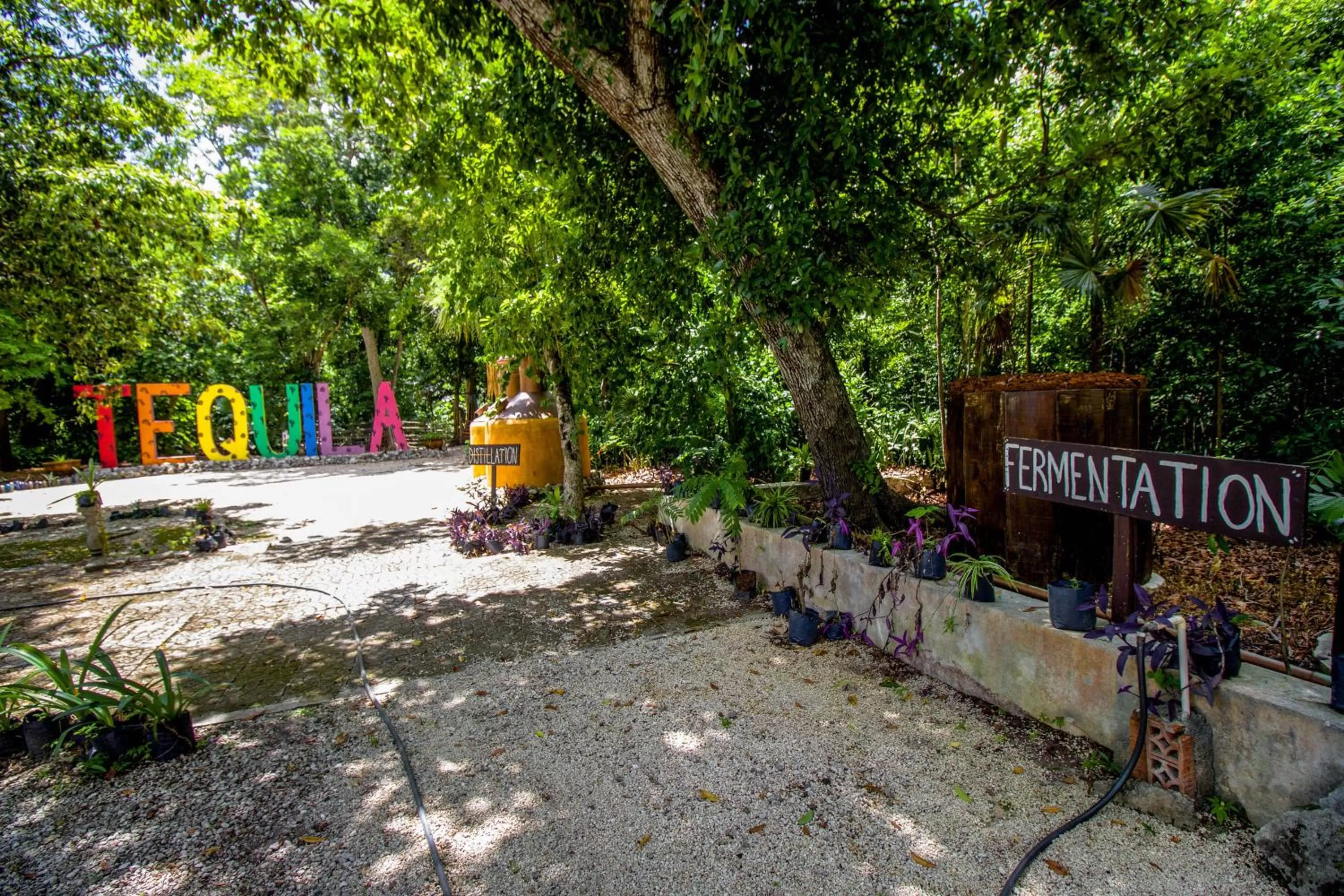 Property building in Hotel Tequila Cancun