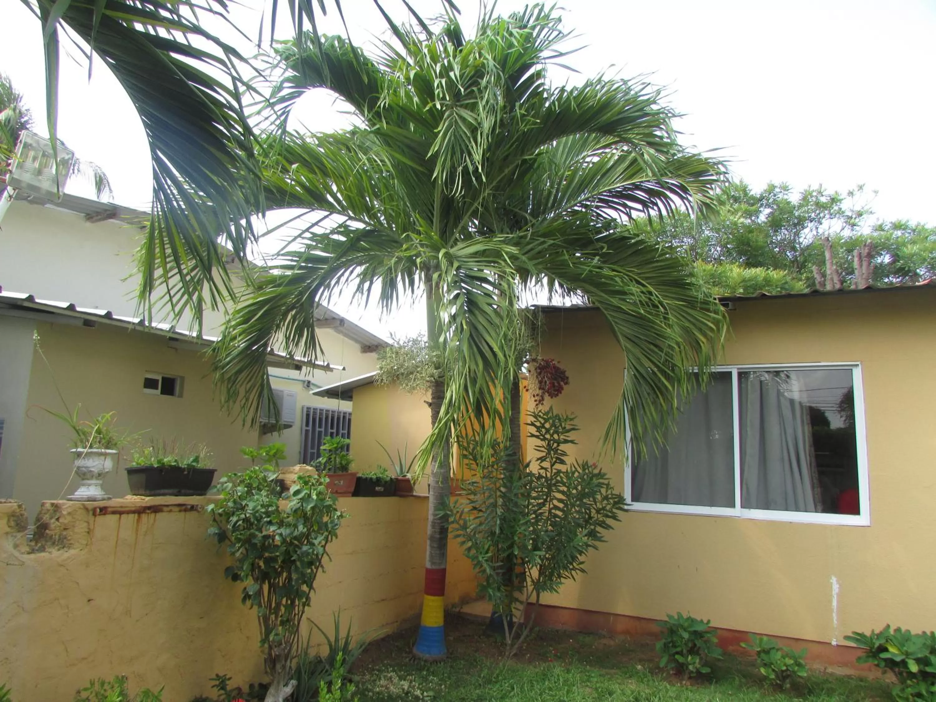 Posada Hostal Miss Marlly