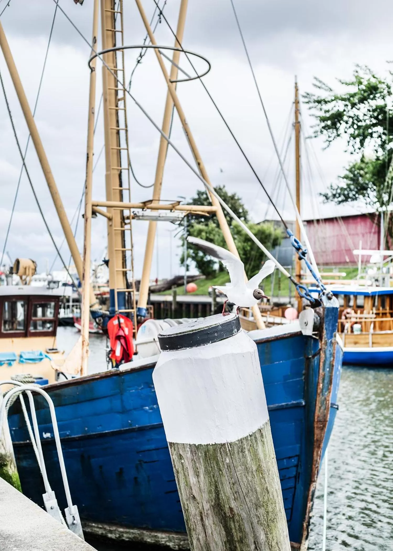 Area and facilities in Hotel Tum Stüürmann