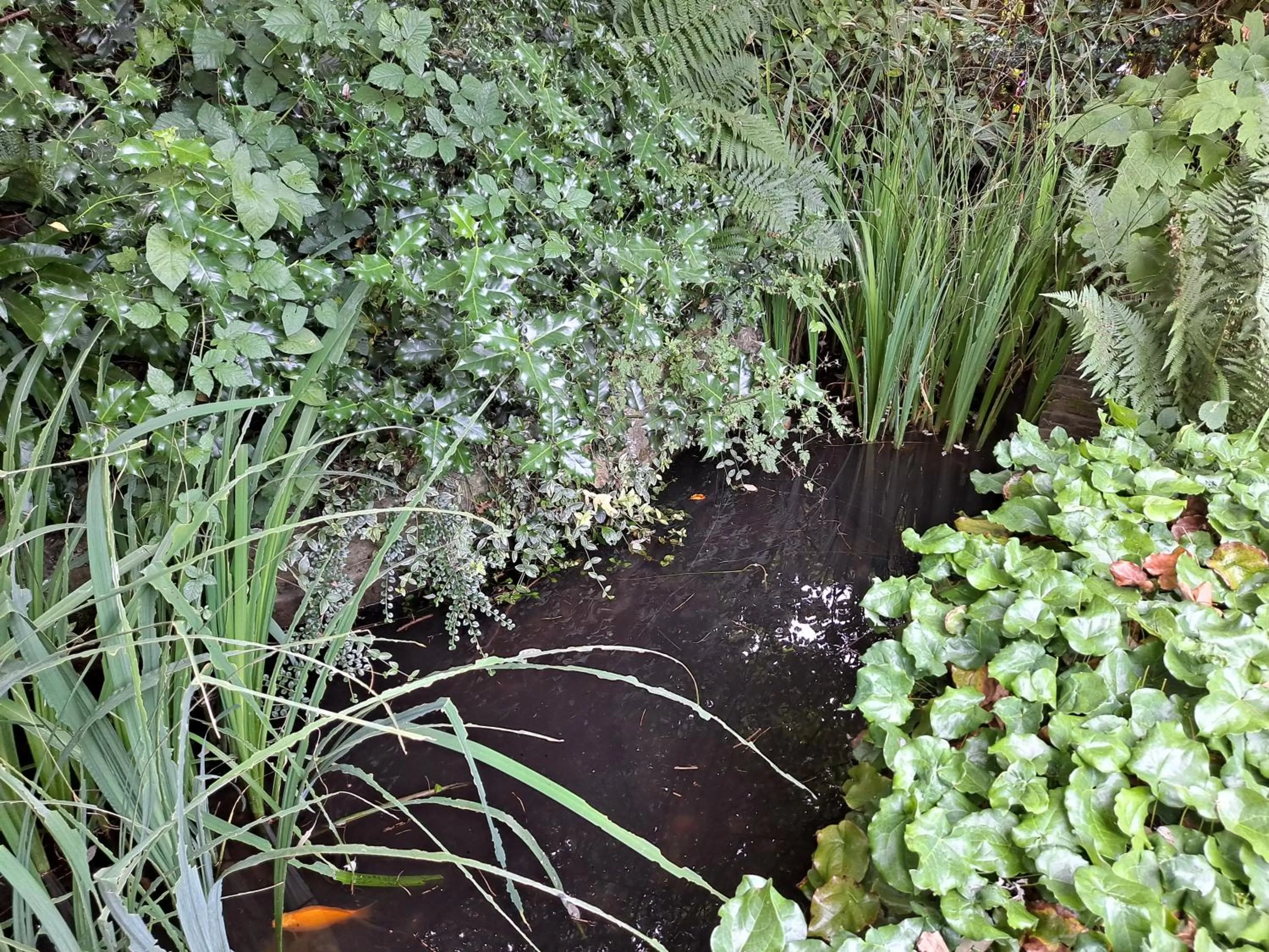 Garden in Pilgrims of the Goddess