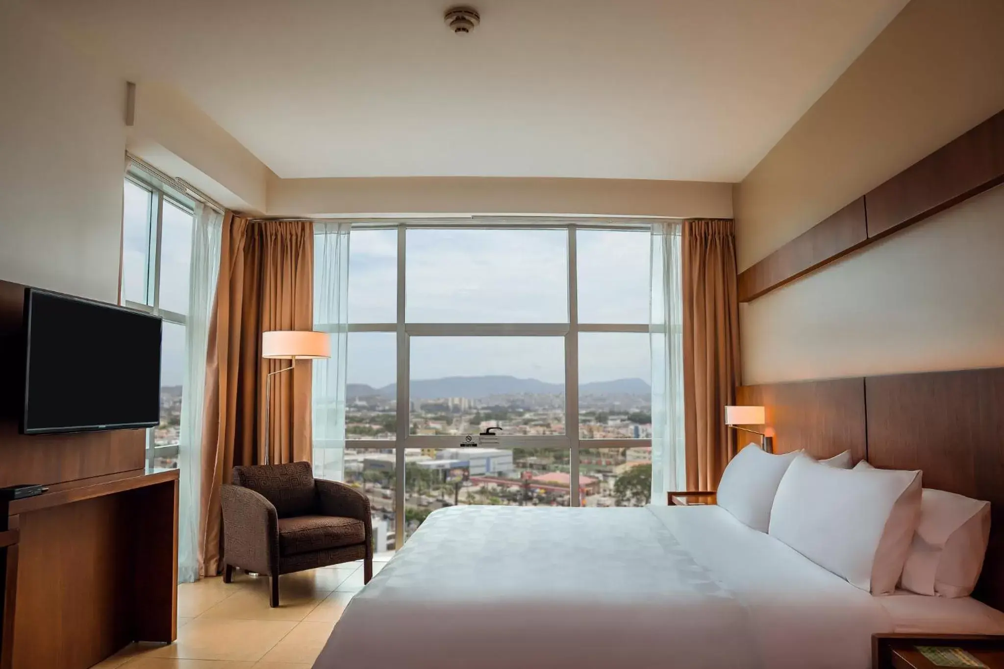 Standard King Room with City View in Holiday Inn Guayaquil Airport, an IHG Hotel Standard King Room with City View in Holiday Inn Guayaquil Airport, an IHG Hotel