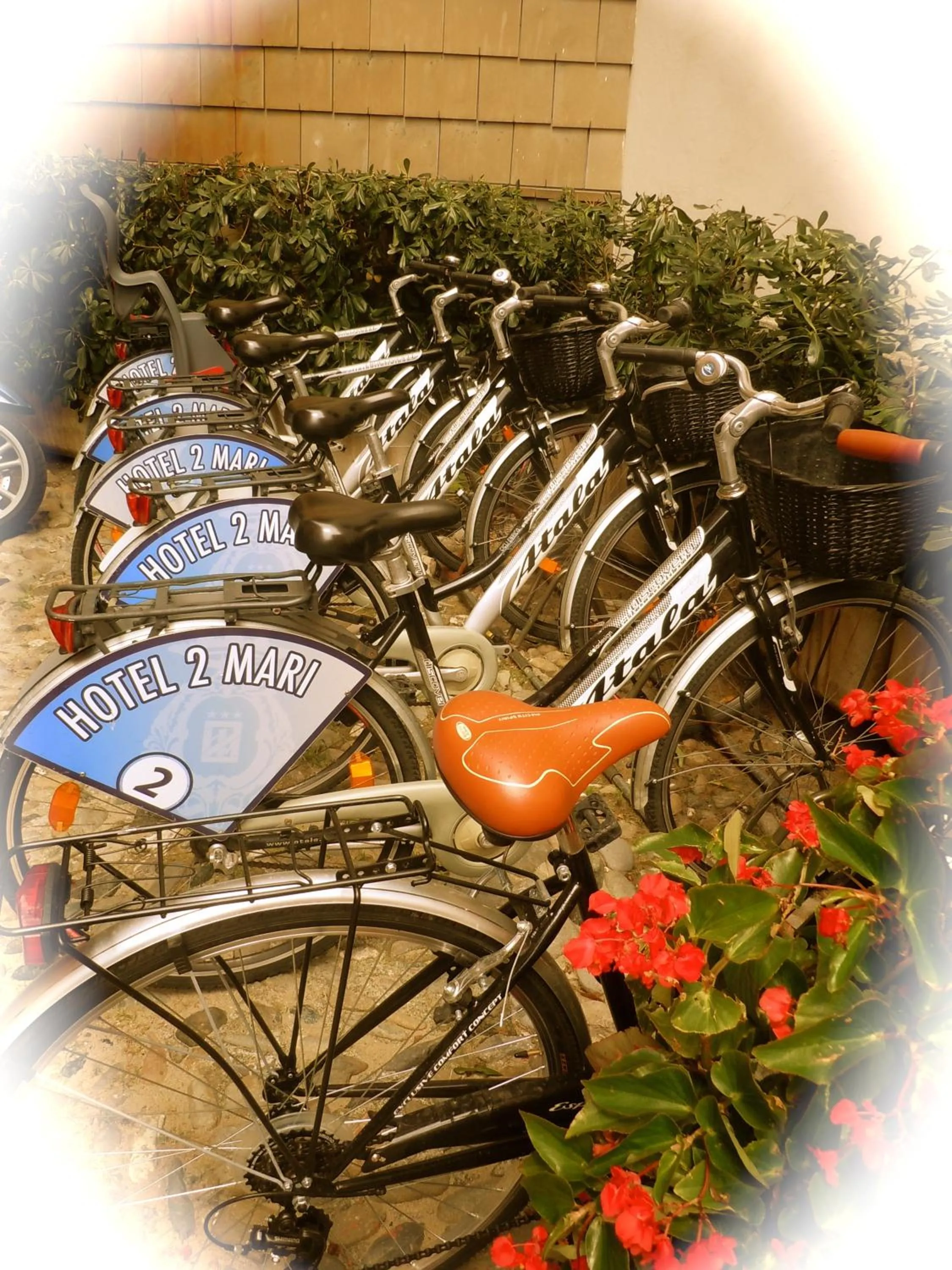 Cycling in Hotel Due Mari
