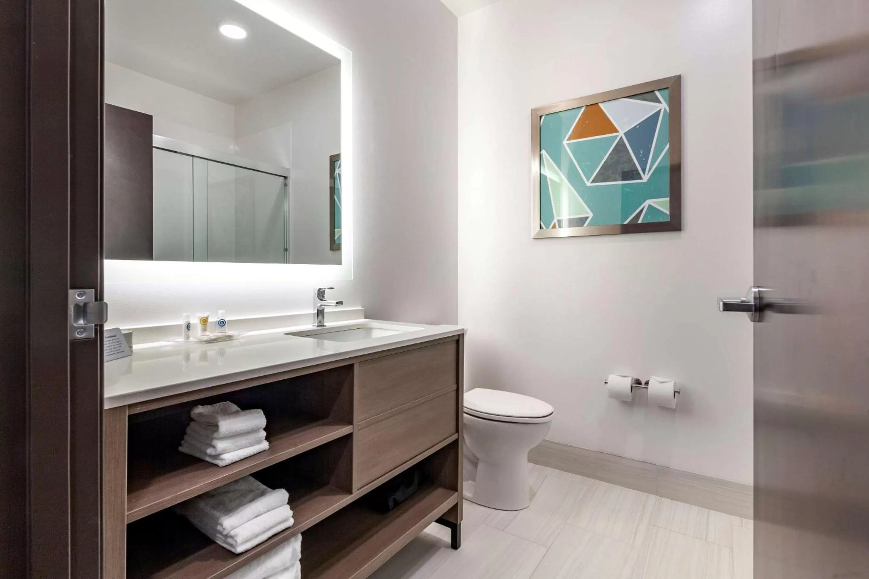 Bathroom in Comfort Suites Cottage Grove-Madison