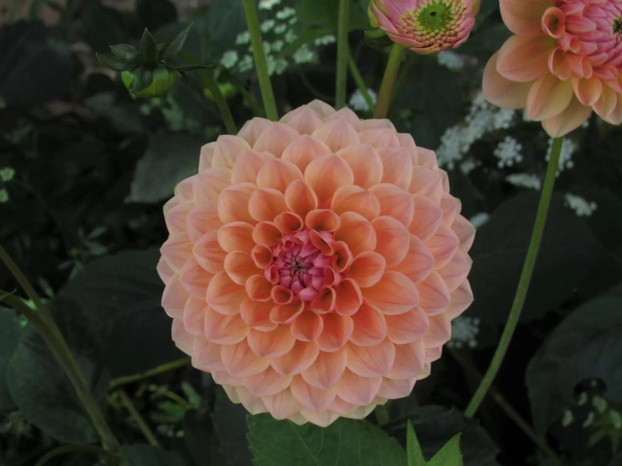 Property building in The Old Vicarage Hotel & Restaurant