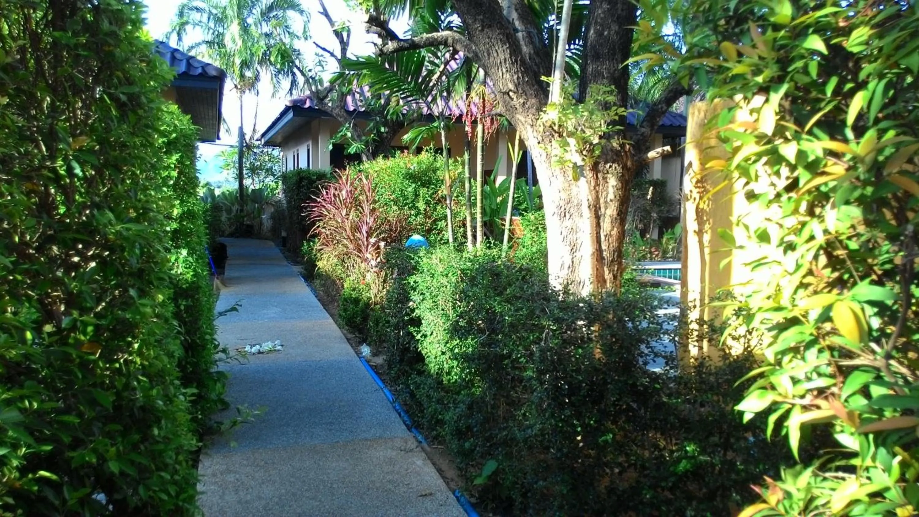 Property building in Happy Cottage